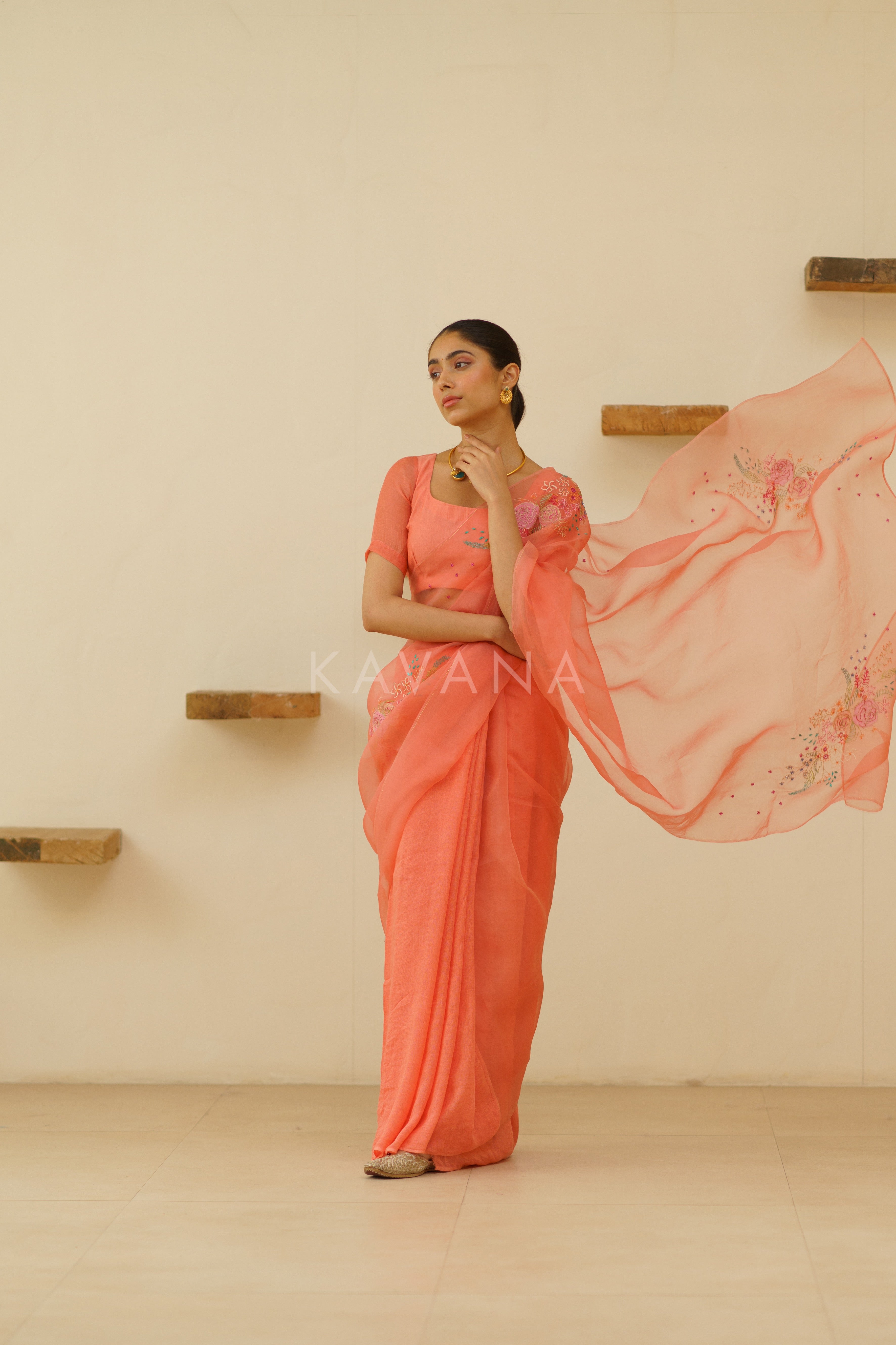 Bani Organza Linen Sari