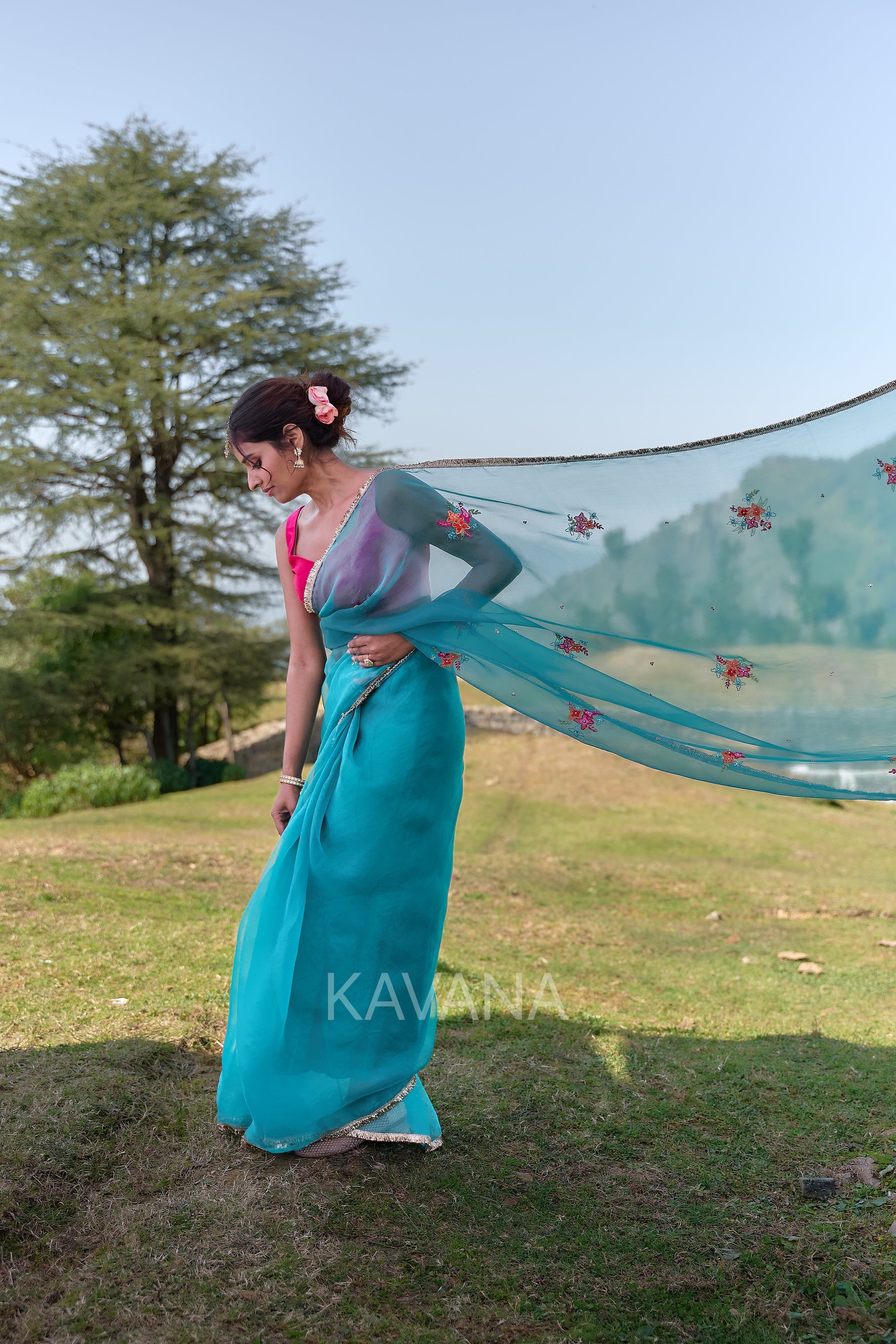 Inaha Silk Organza Sari