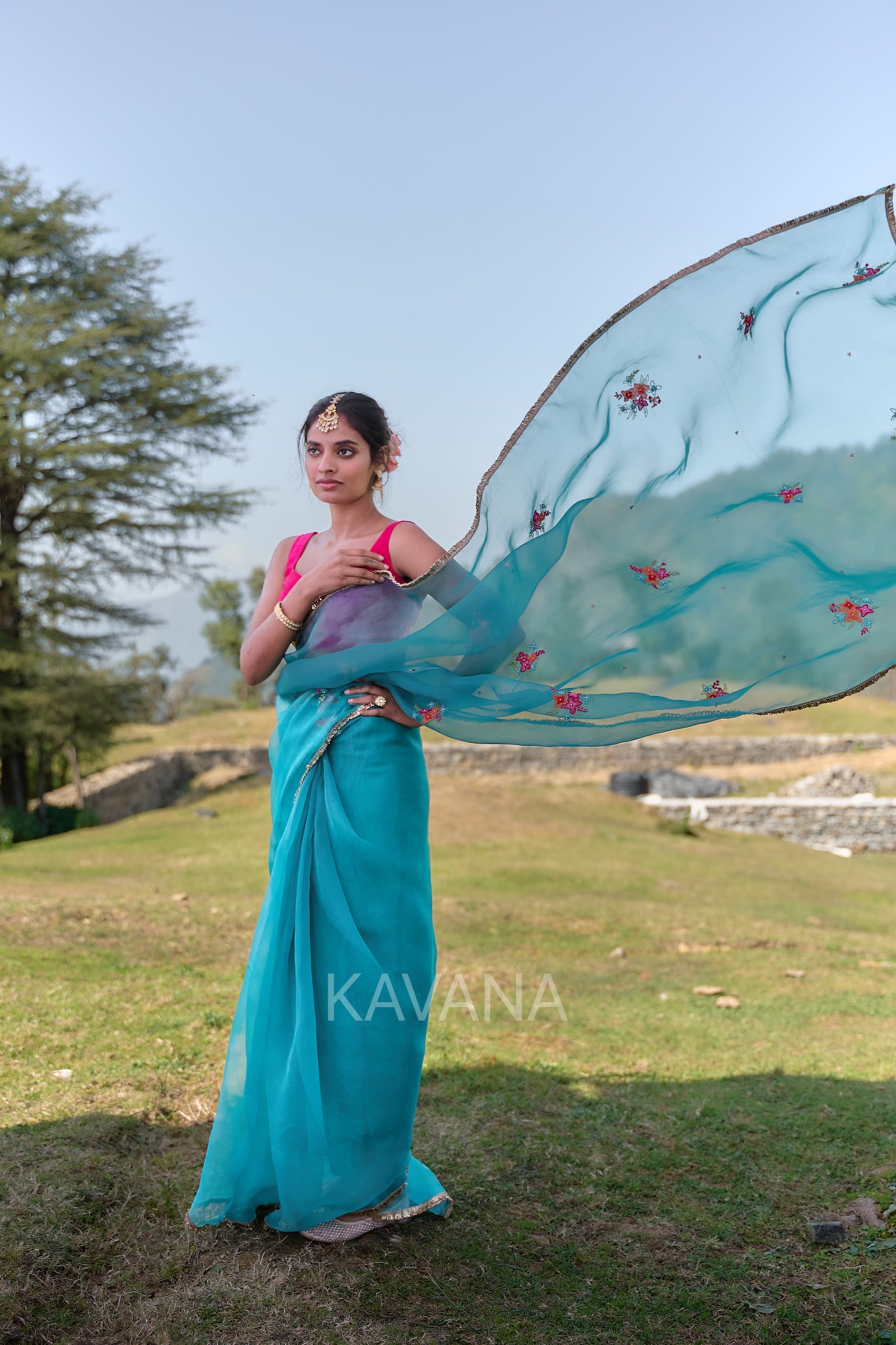 Inaha Silk Organza Sari