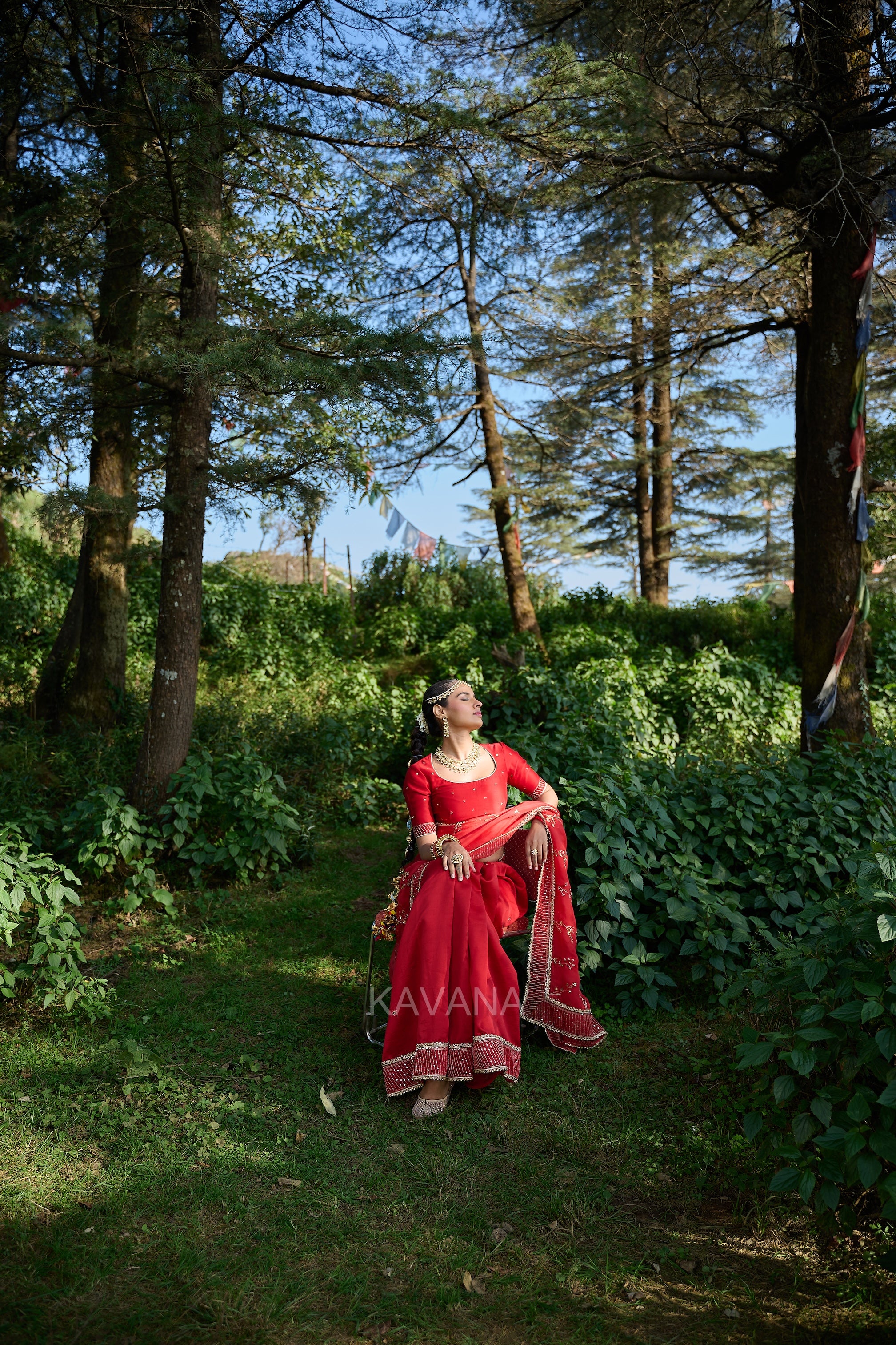 Jhirni Silk Organza Sari