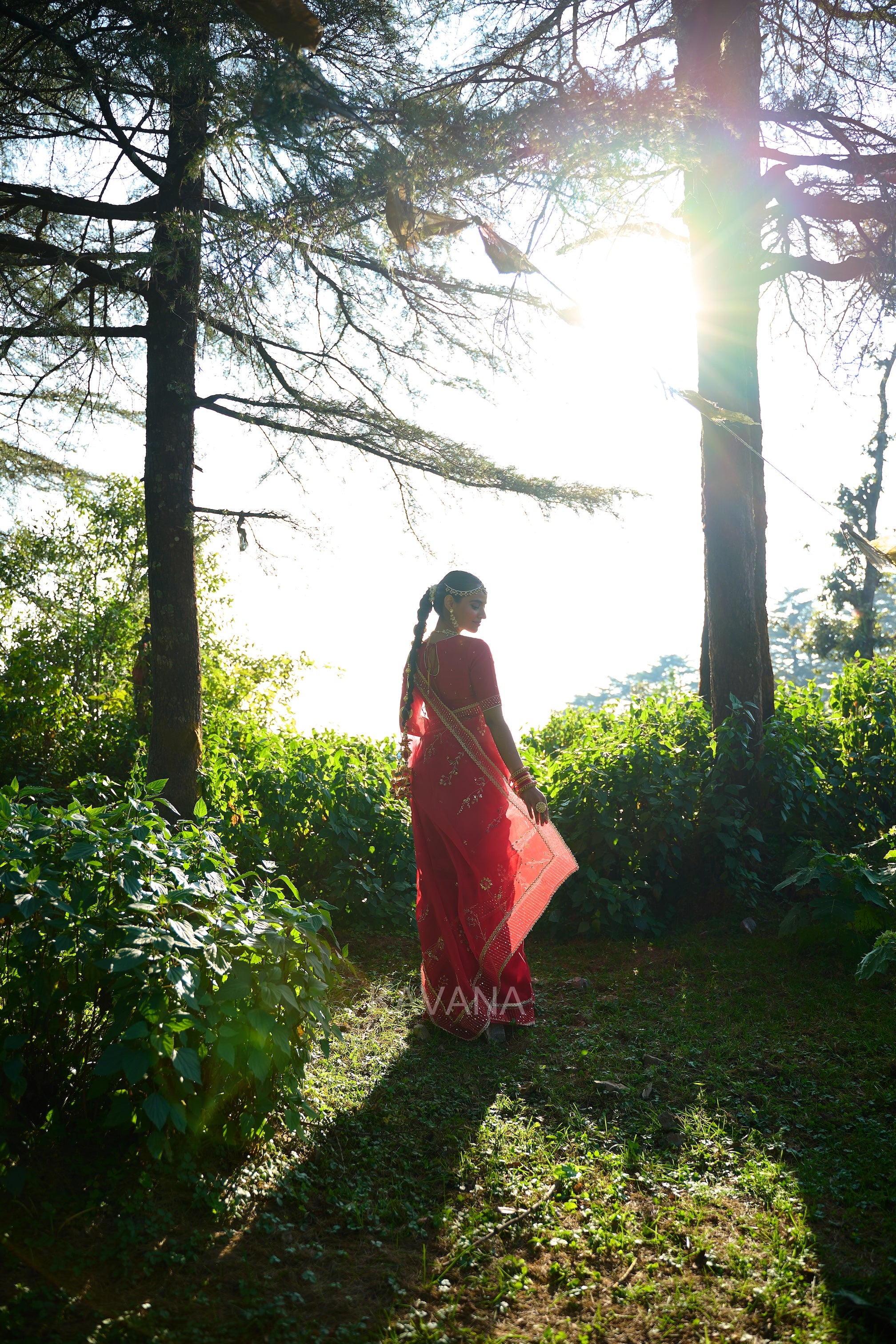 Jhirni Silk Organza Sari