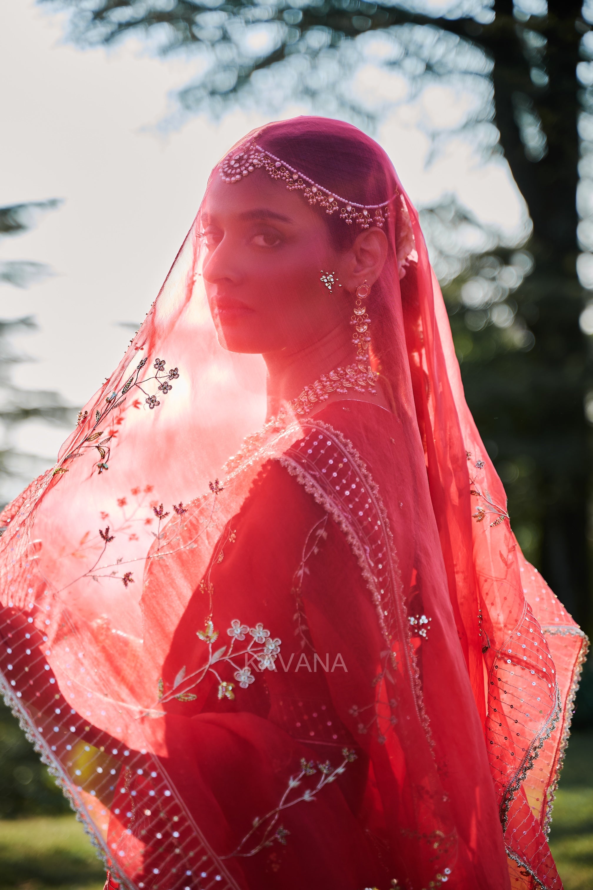 Jhirni Silk Organza Sari