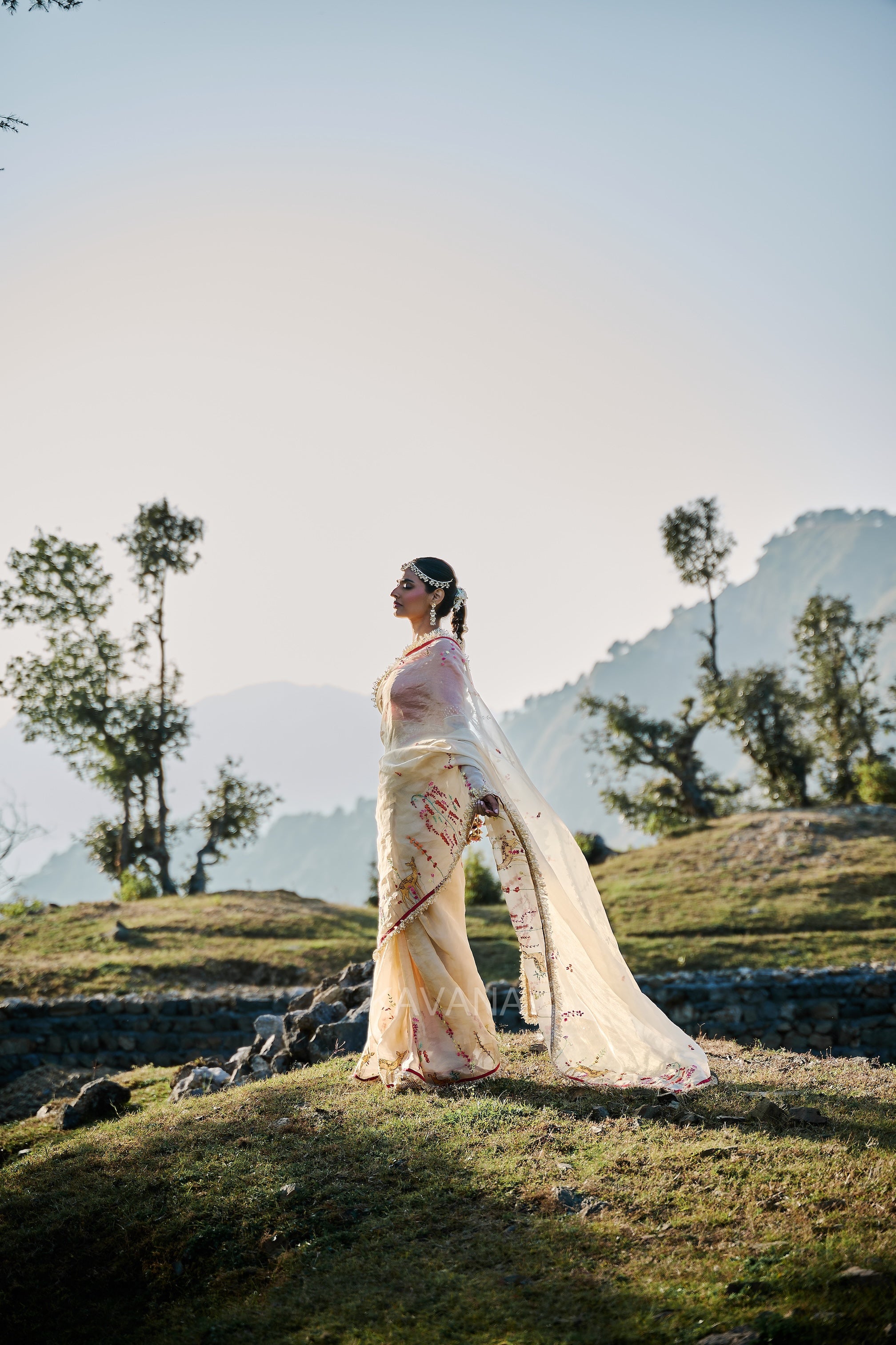 Isha Silk Tissue Sari