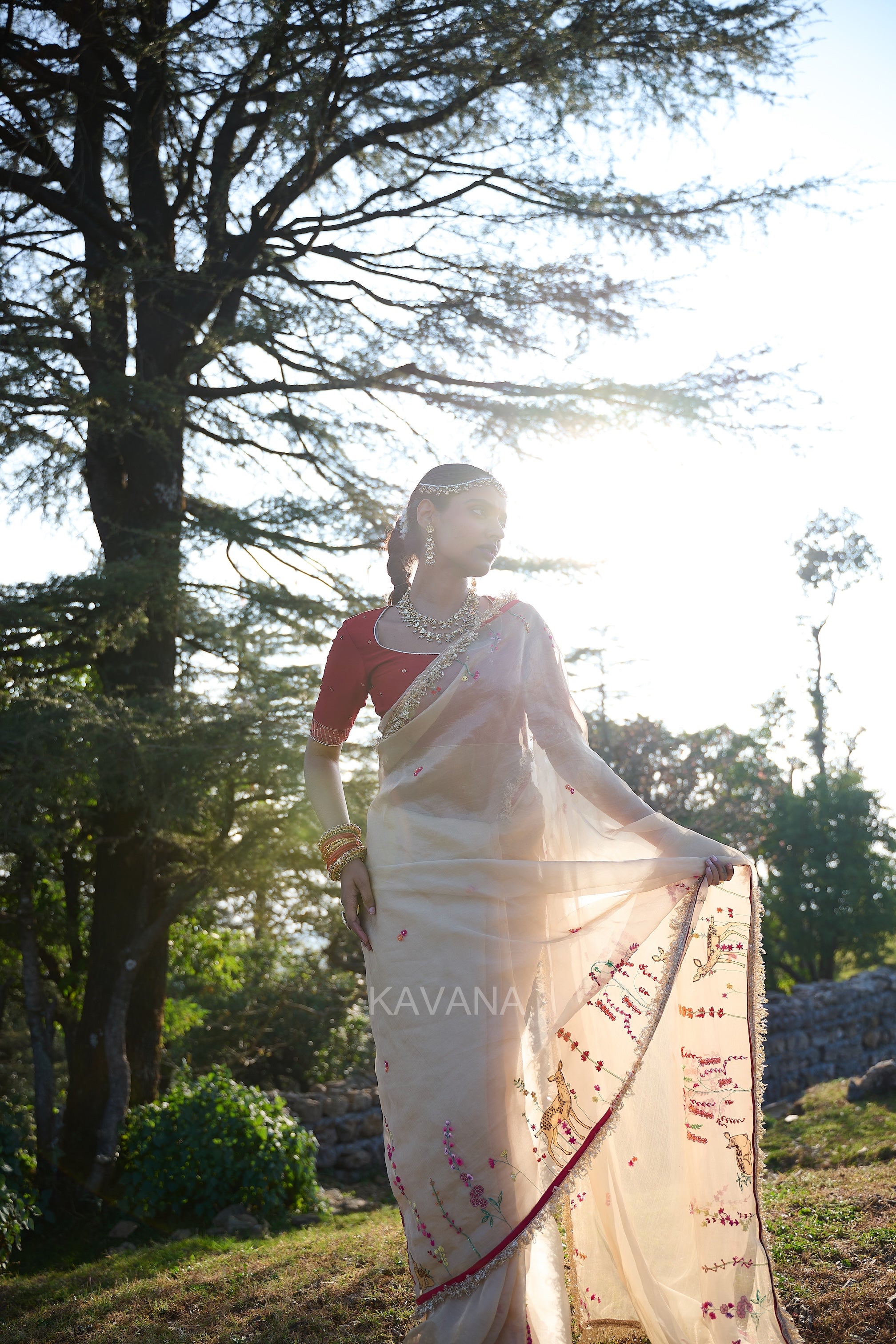 Isha Silk Tissue Sari