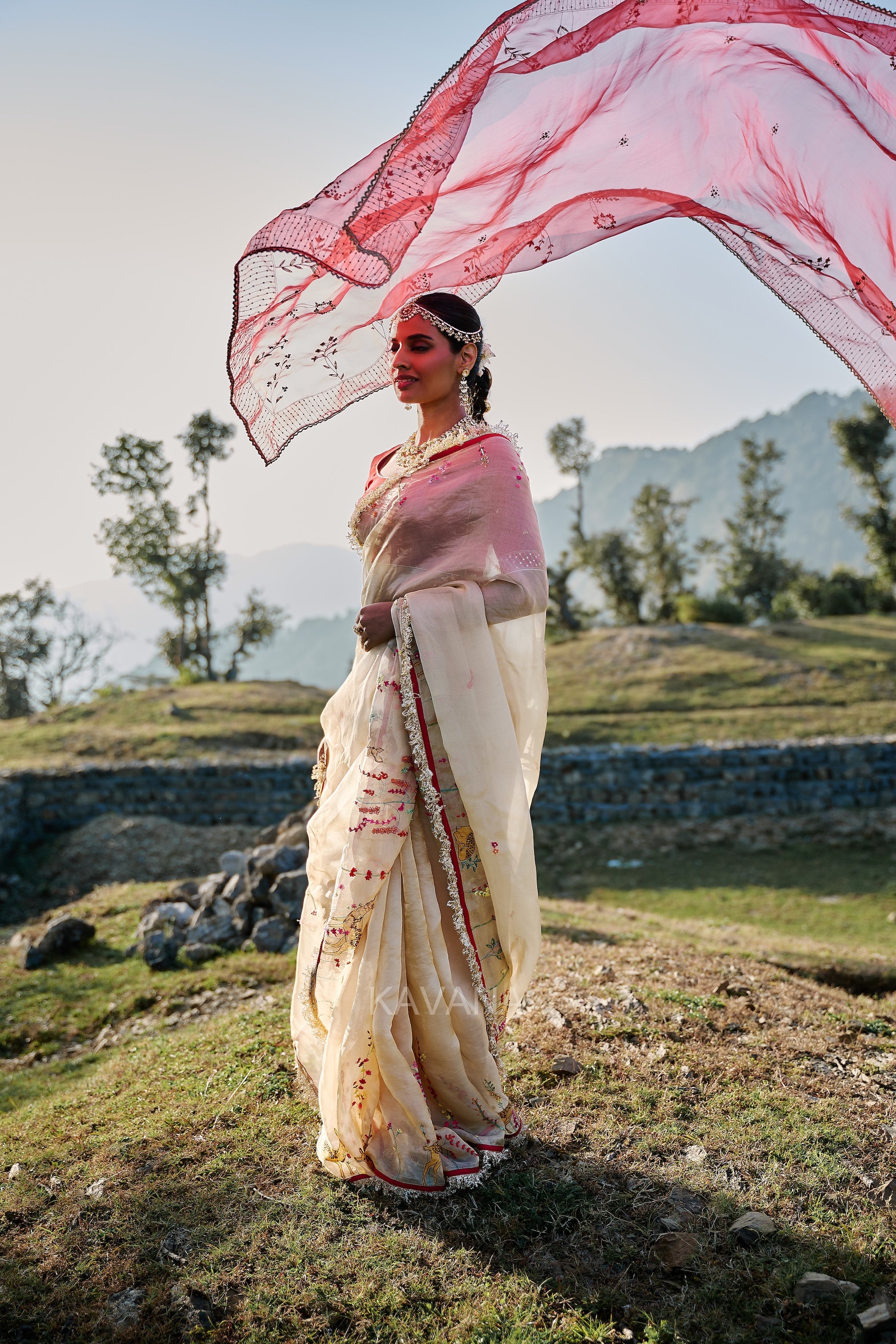 Isha Silk Tissue Sari