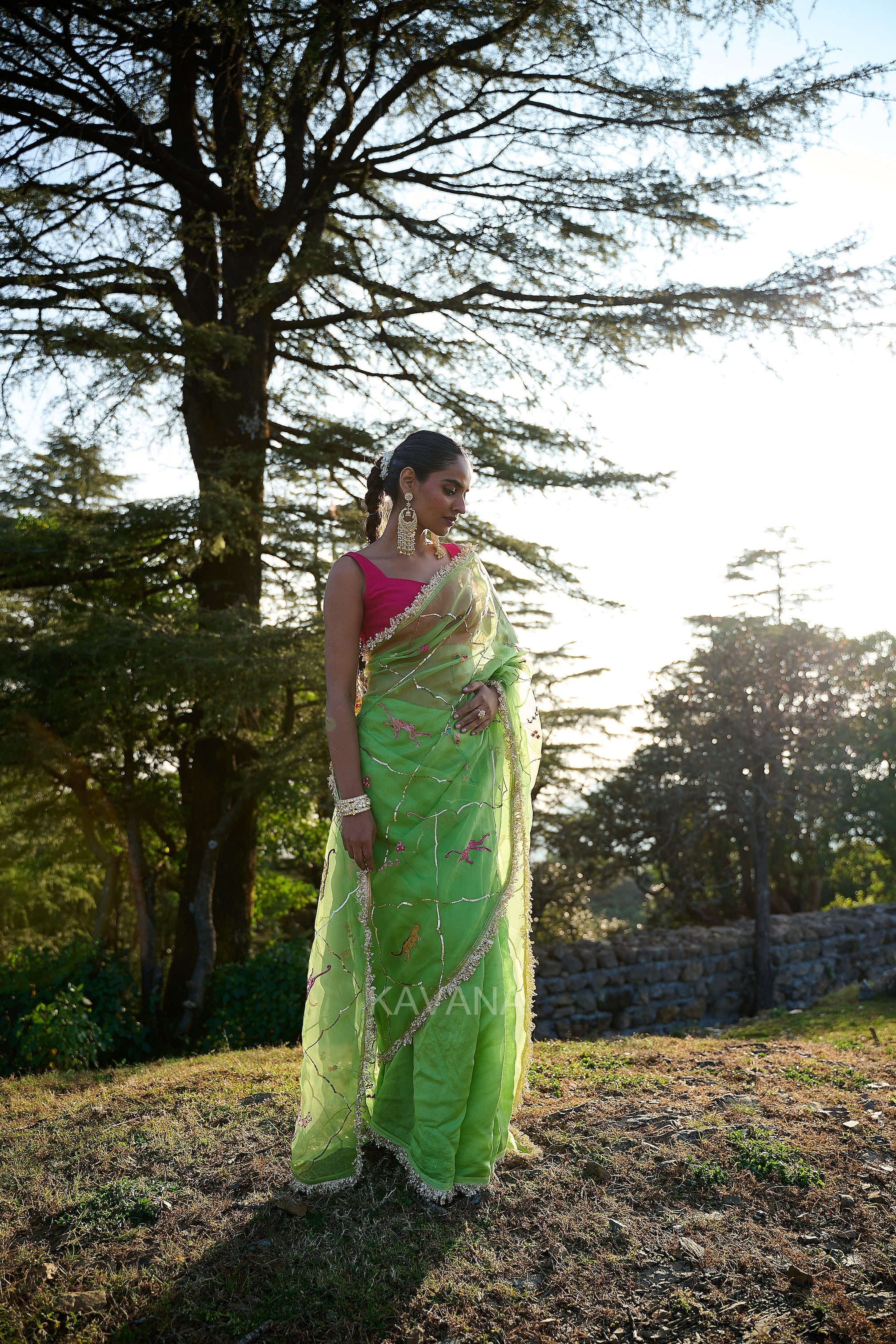 Heer Organza Sari