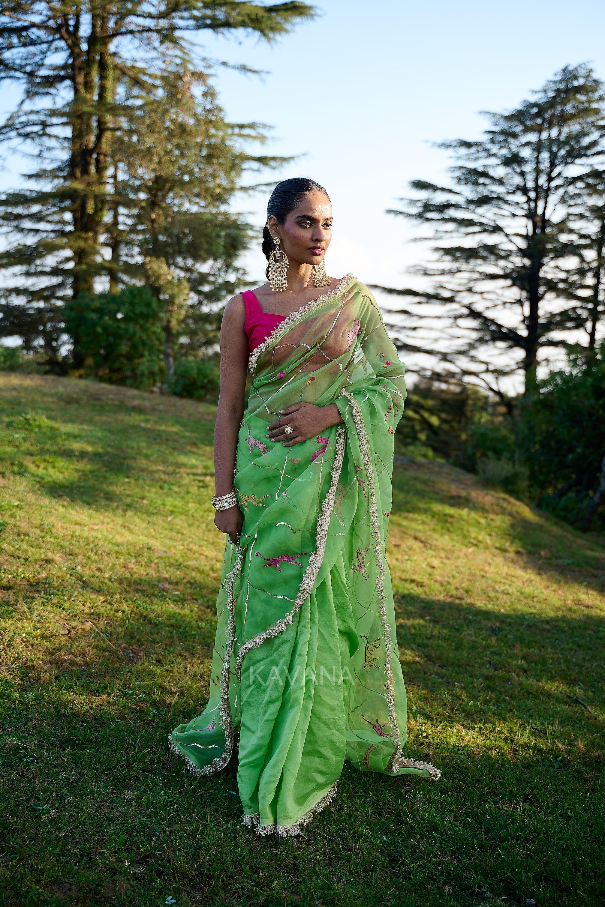 Heer Organza Sari