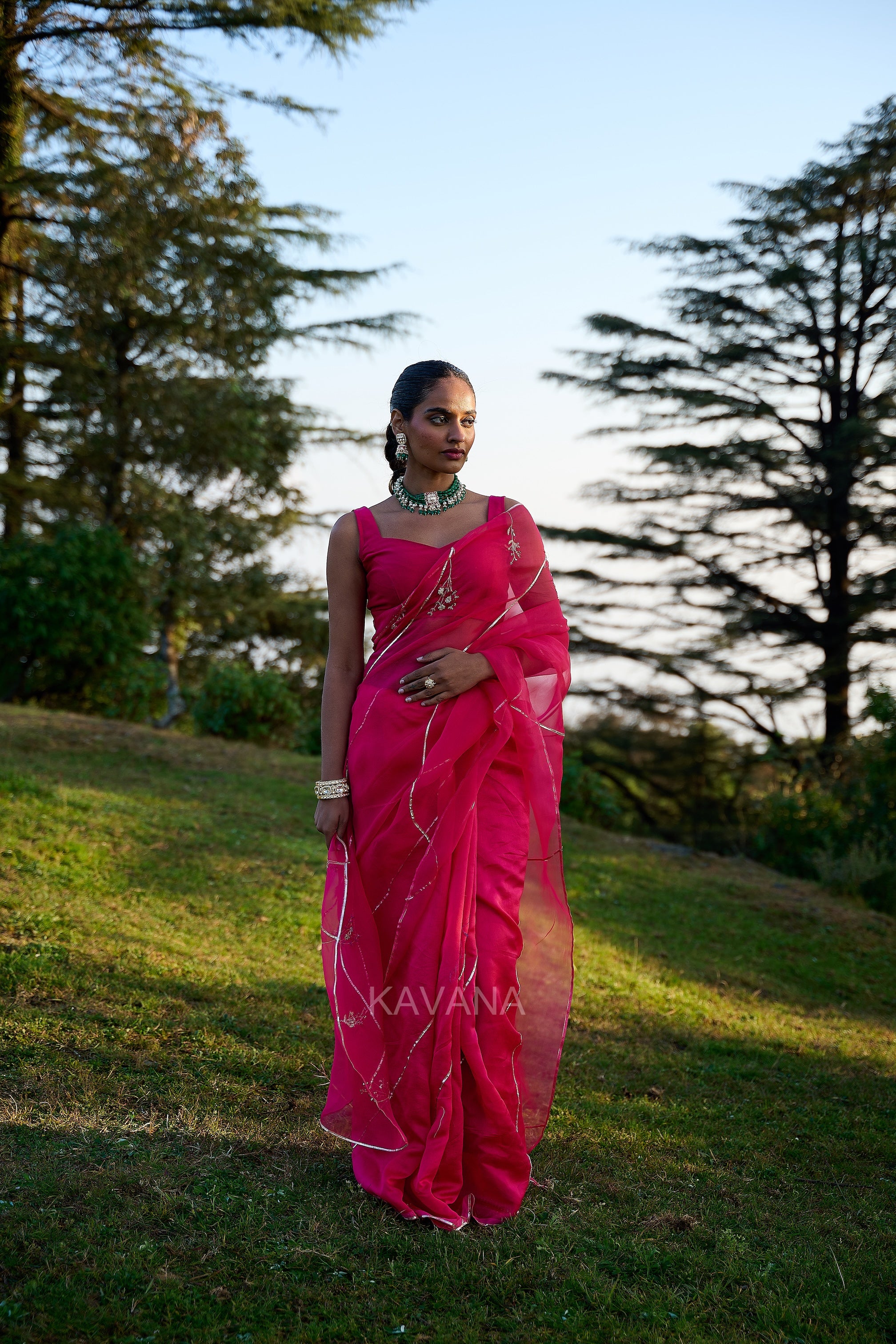 Purva Silk Organza Sari
