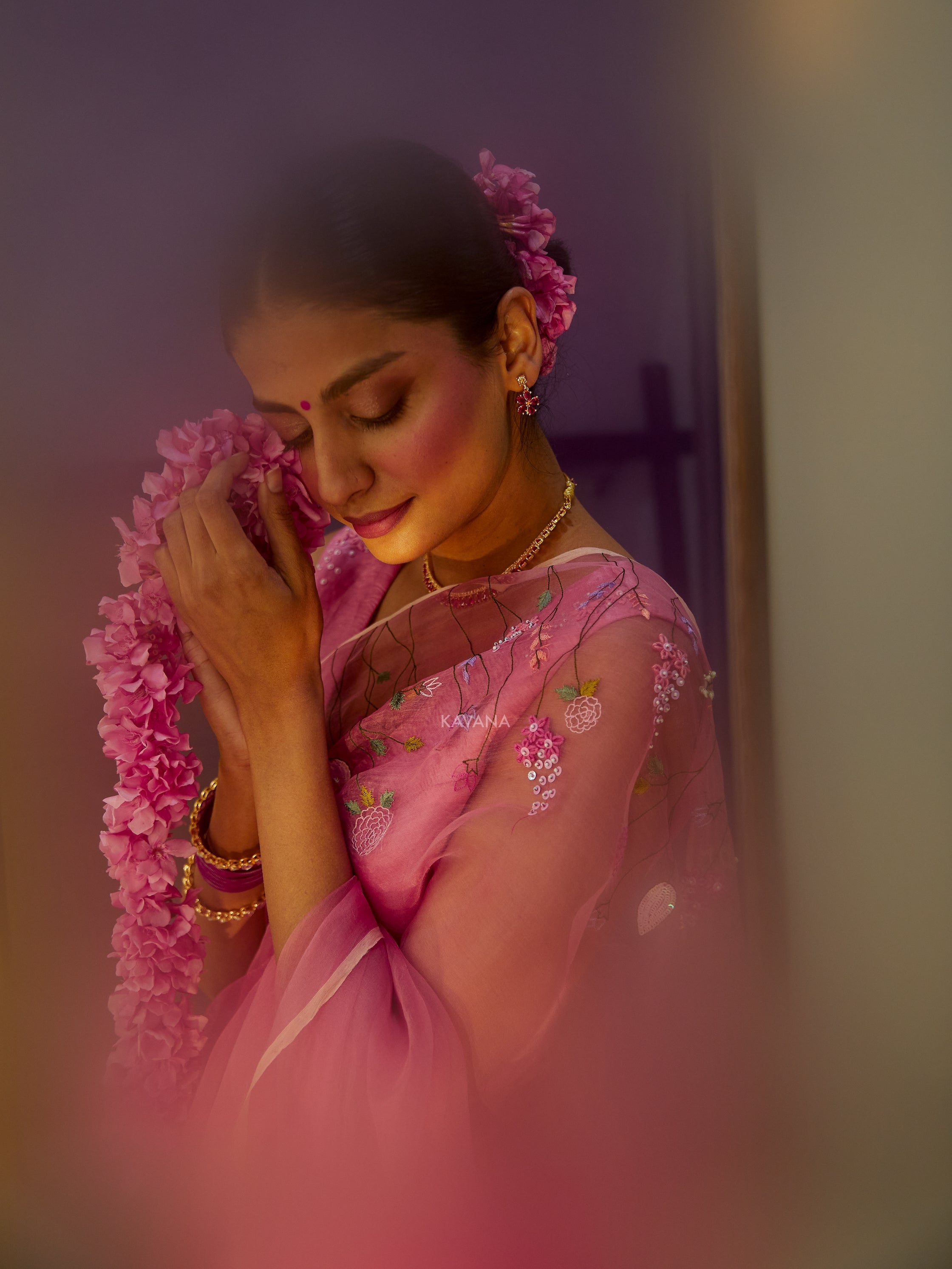 Sitara Silk Organza Sari