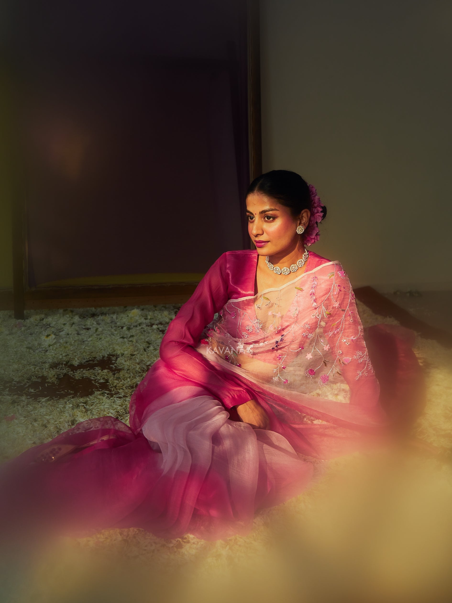Bagicha Silk Organza Sari