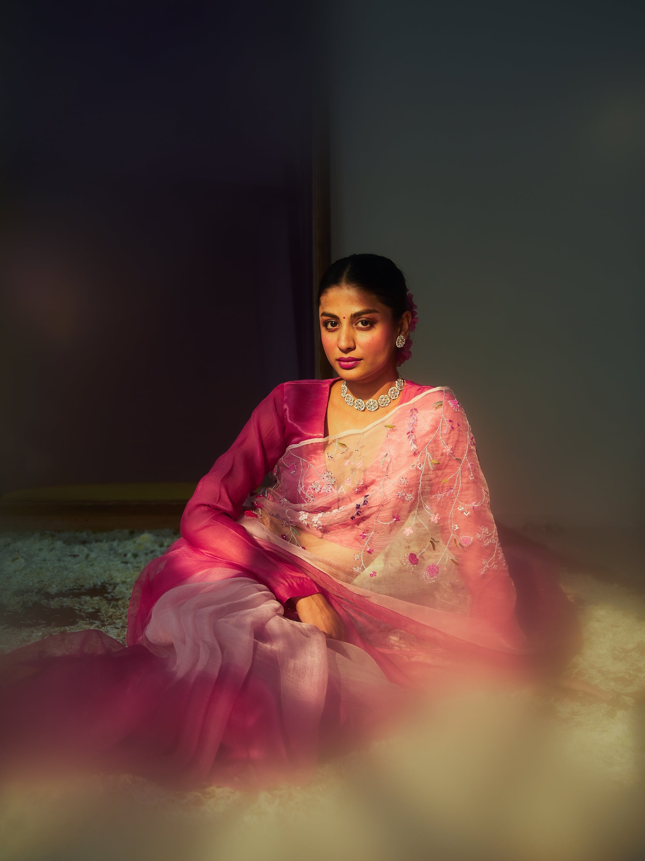 Bagicha Silk Organza Sari