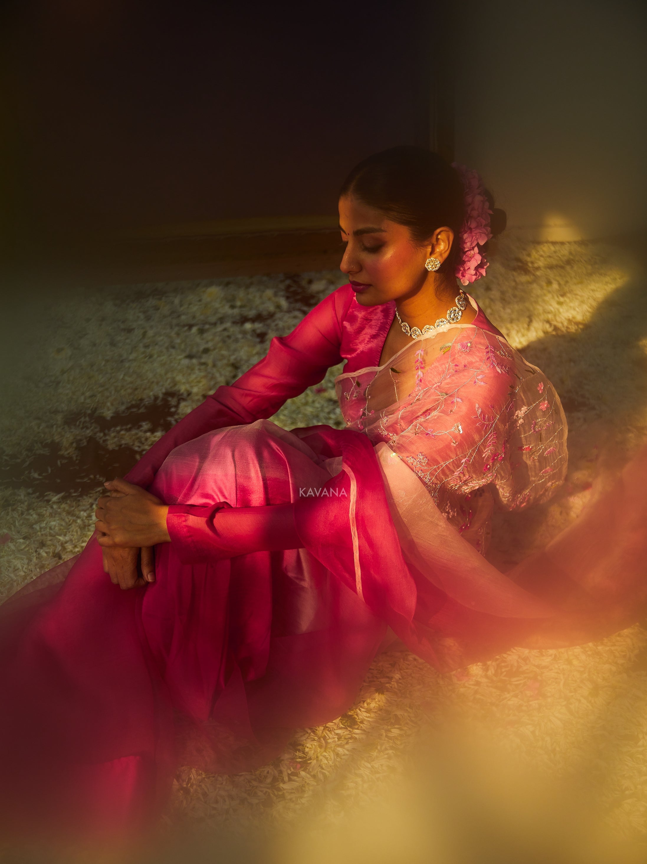 Bagicha Silk Organza Sari