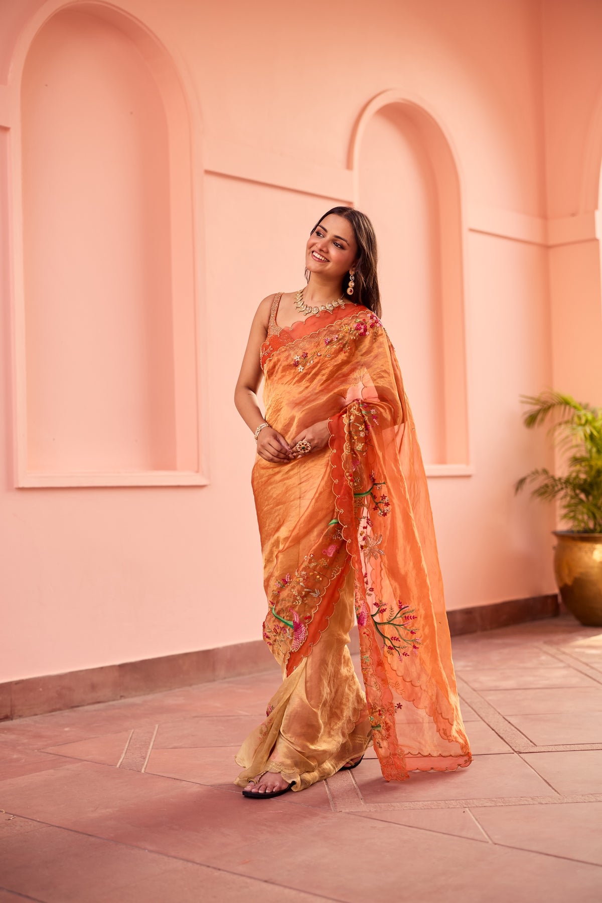 Dhara Slk Tissue Sari