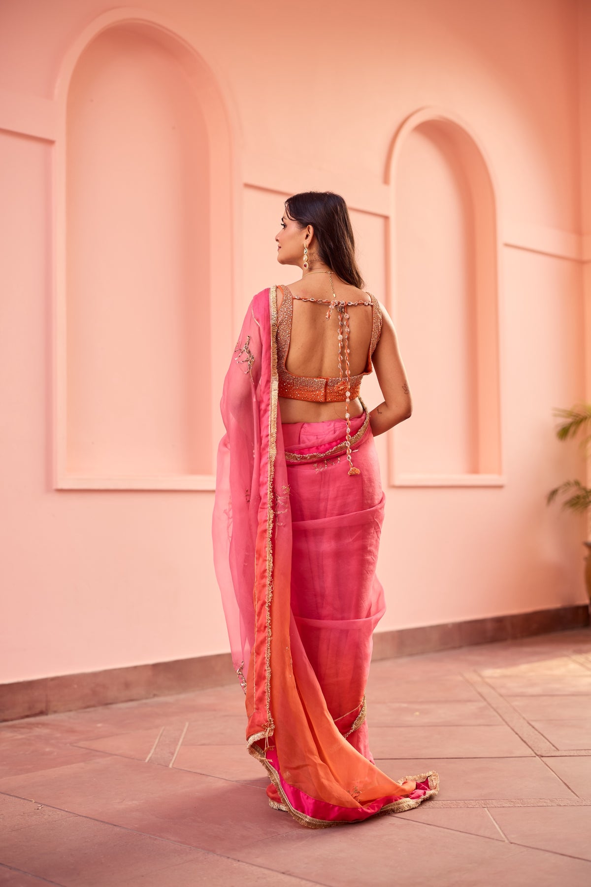 Shaleen Silk Organza Sari