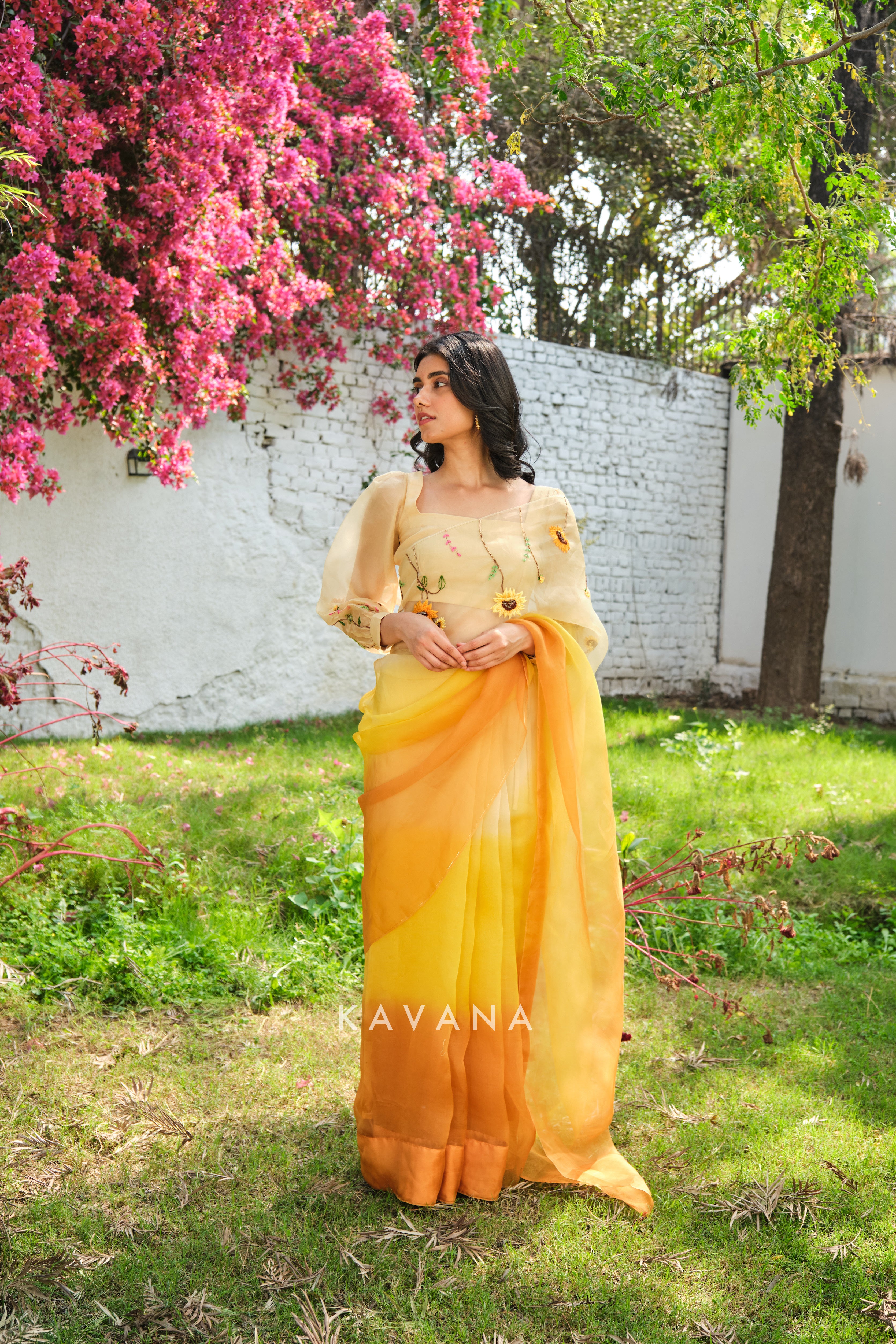 Aamras sari