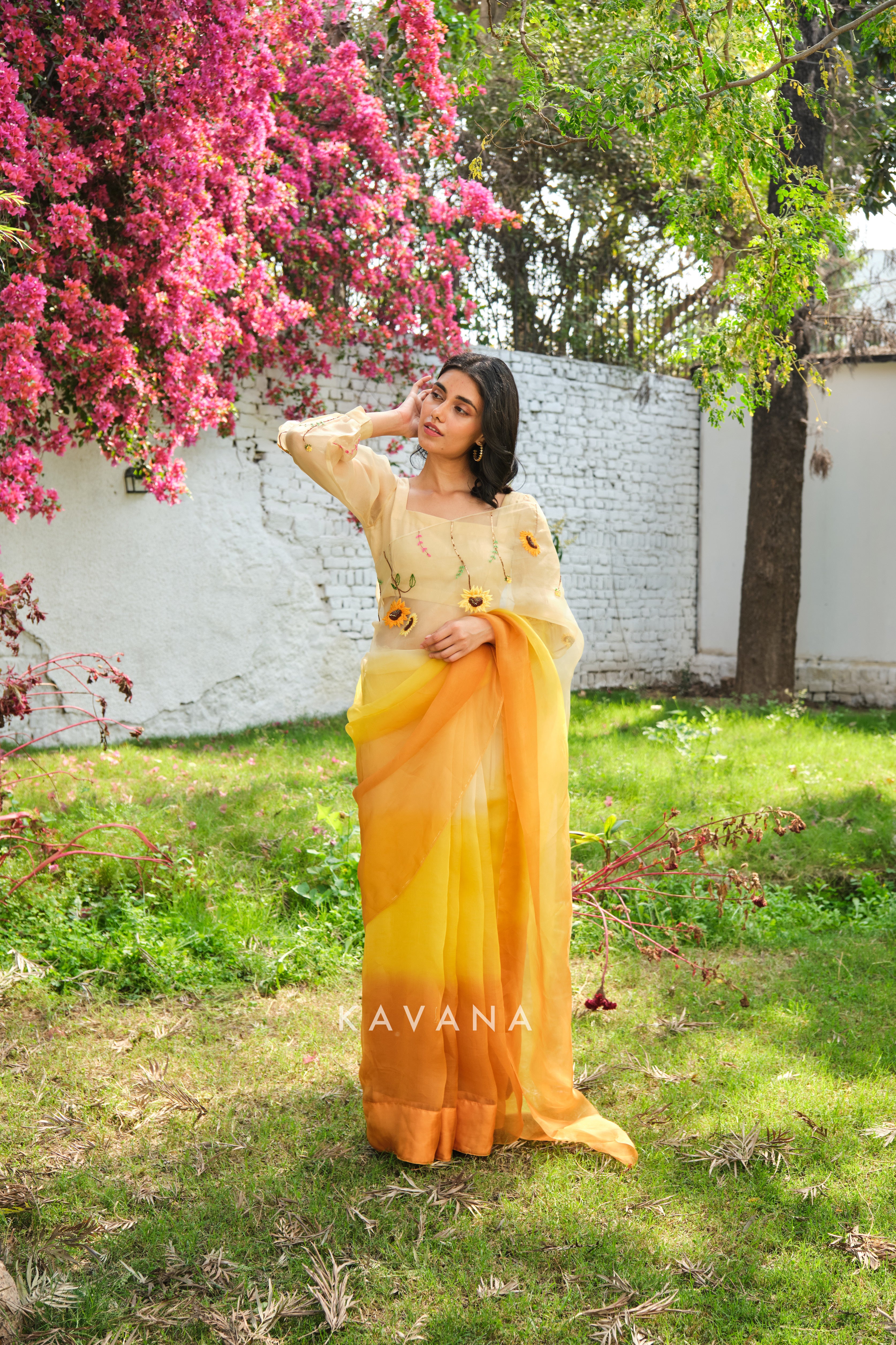 Aamras sari