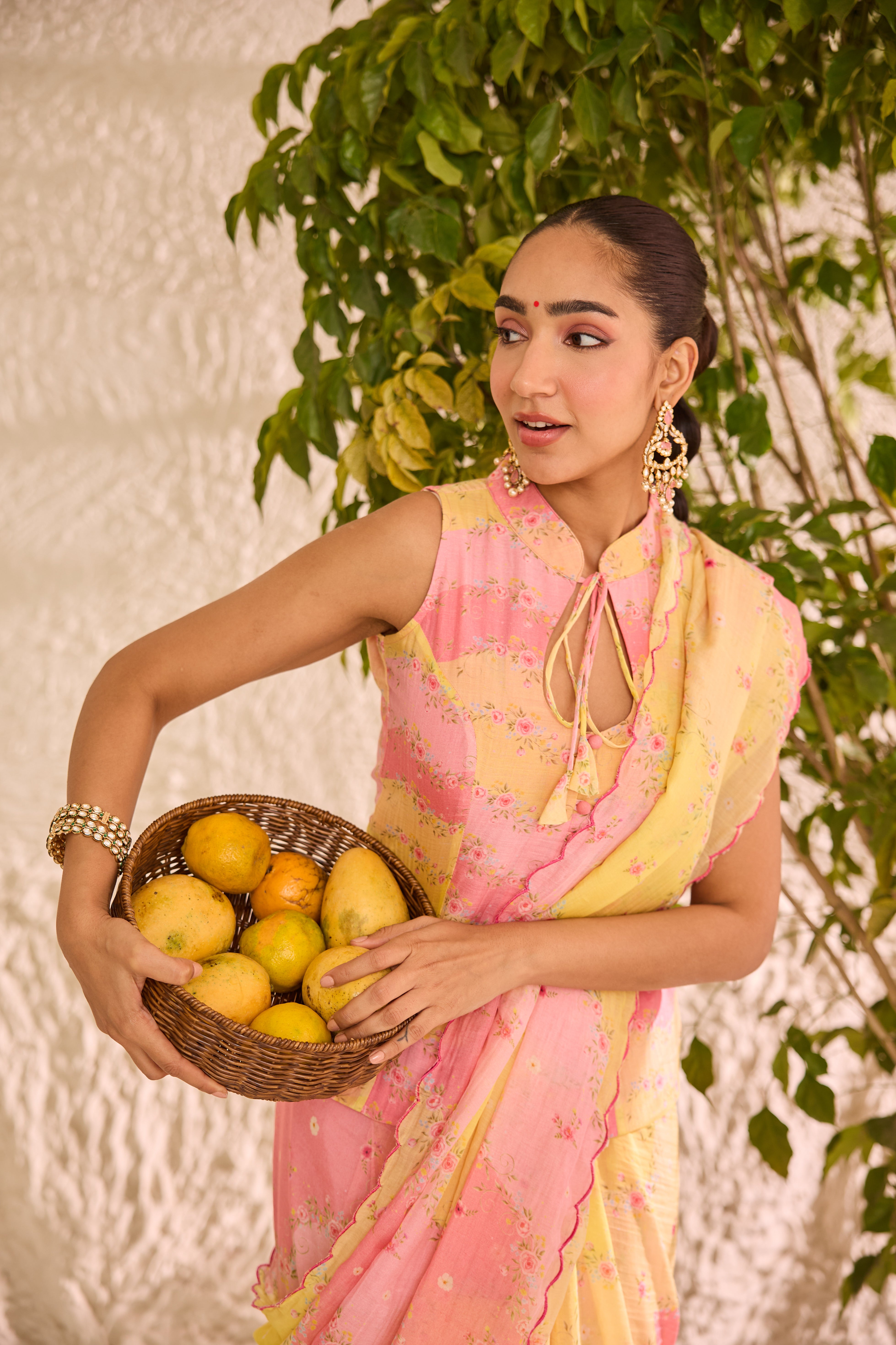 Ras Bhari Chanderi Sari