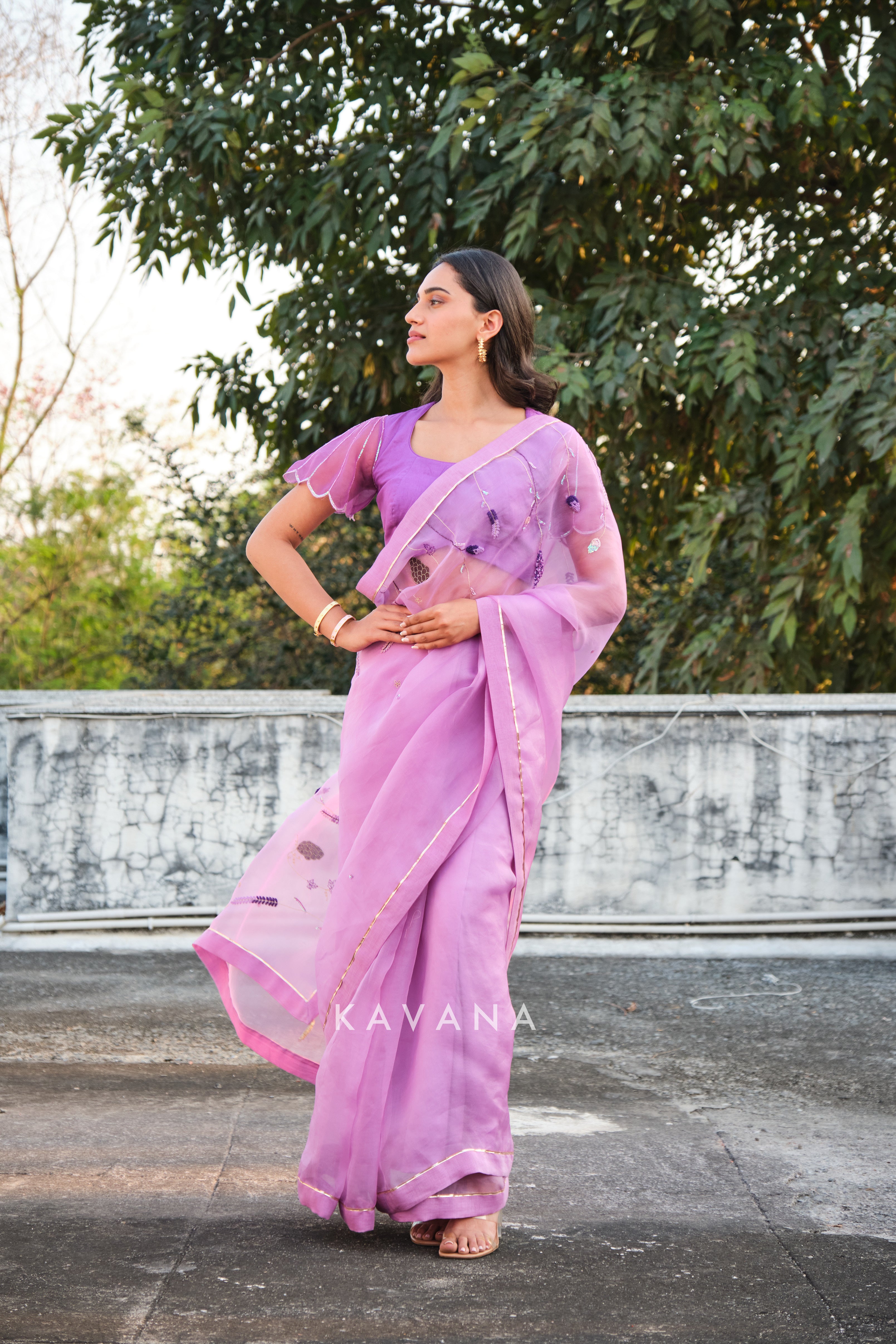 Jamun sari