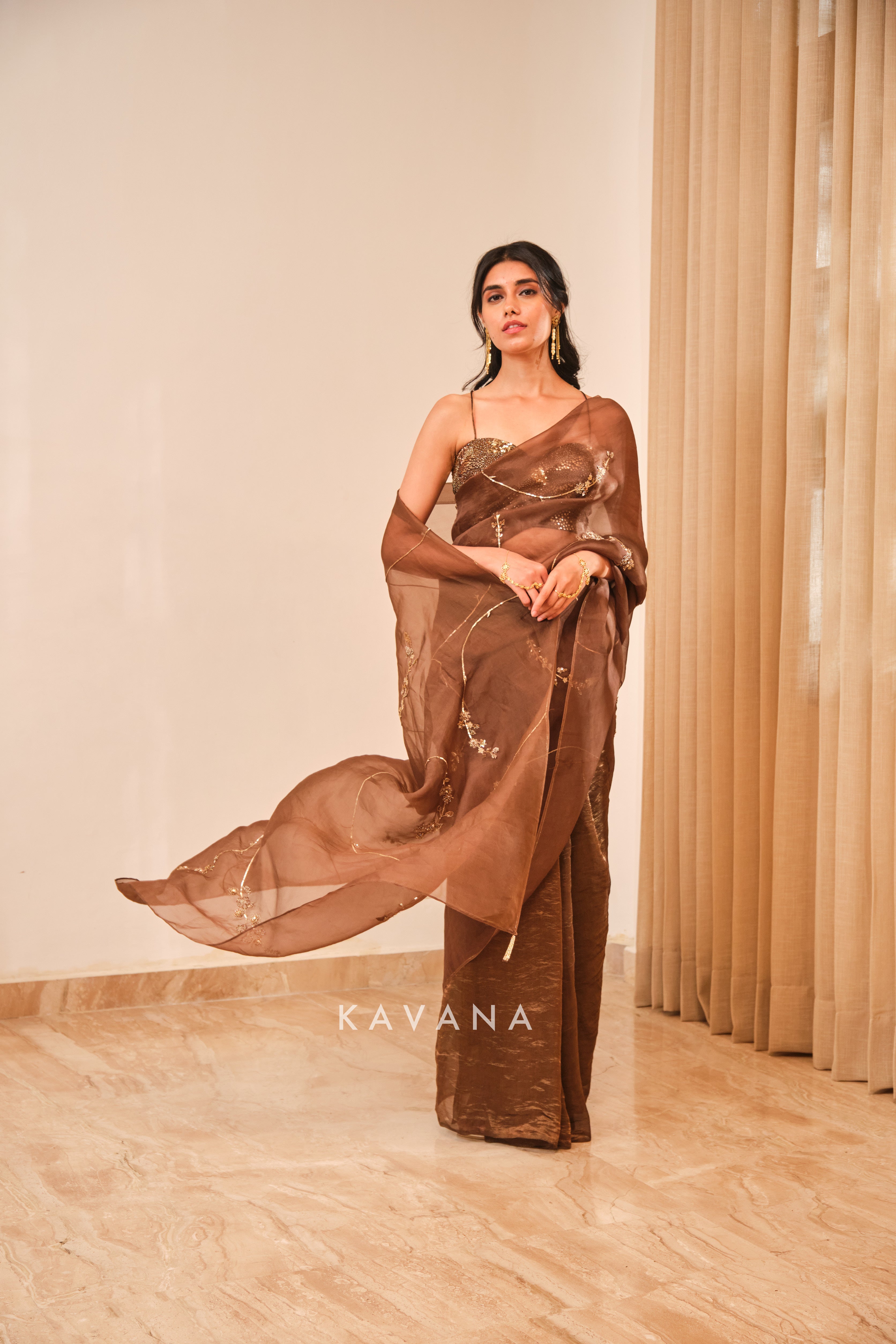 Chikoo sari