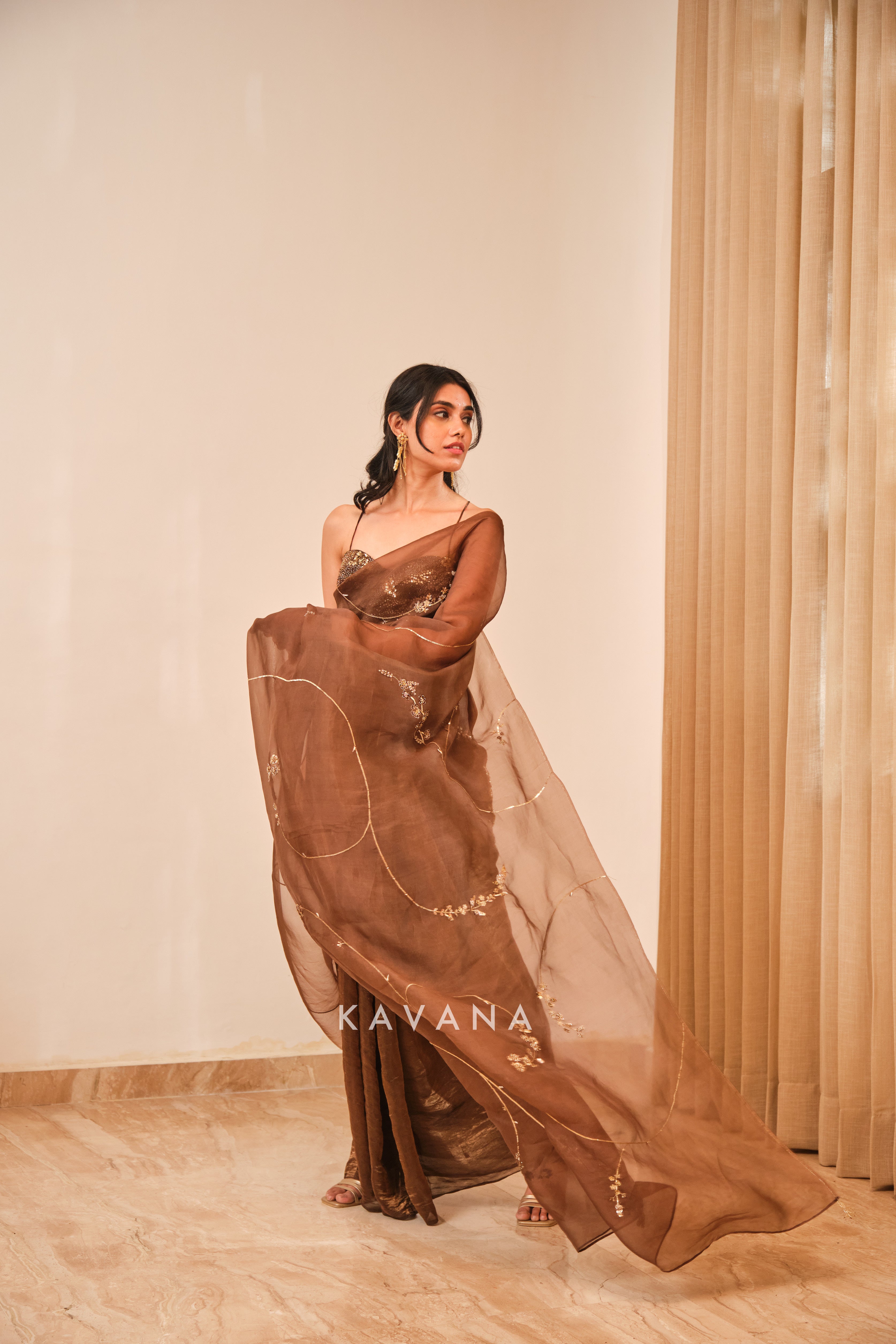 Chikoo sari