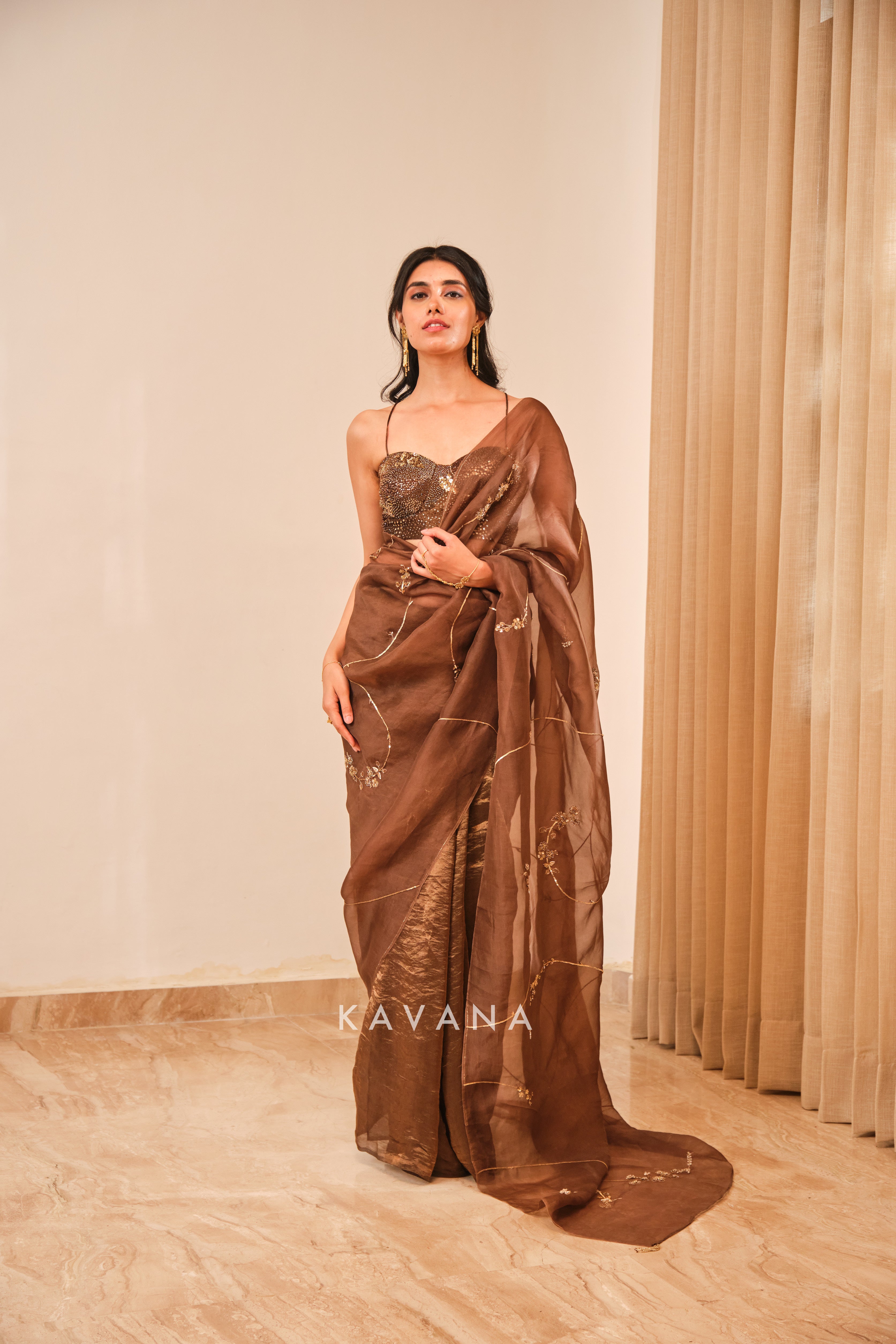 Chikoo sari