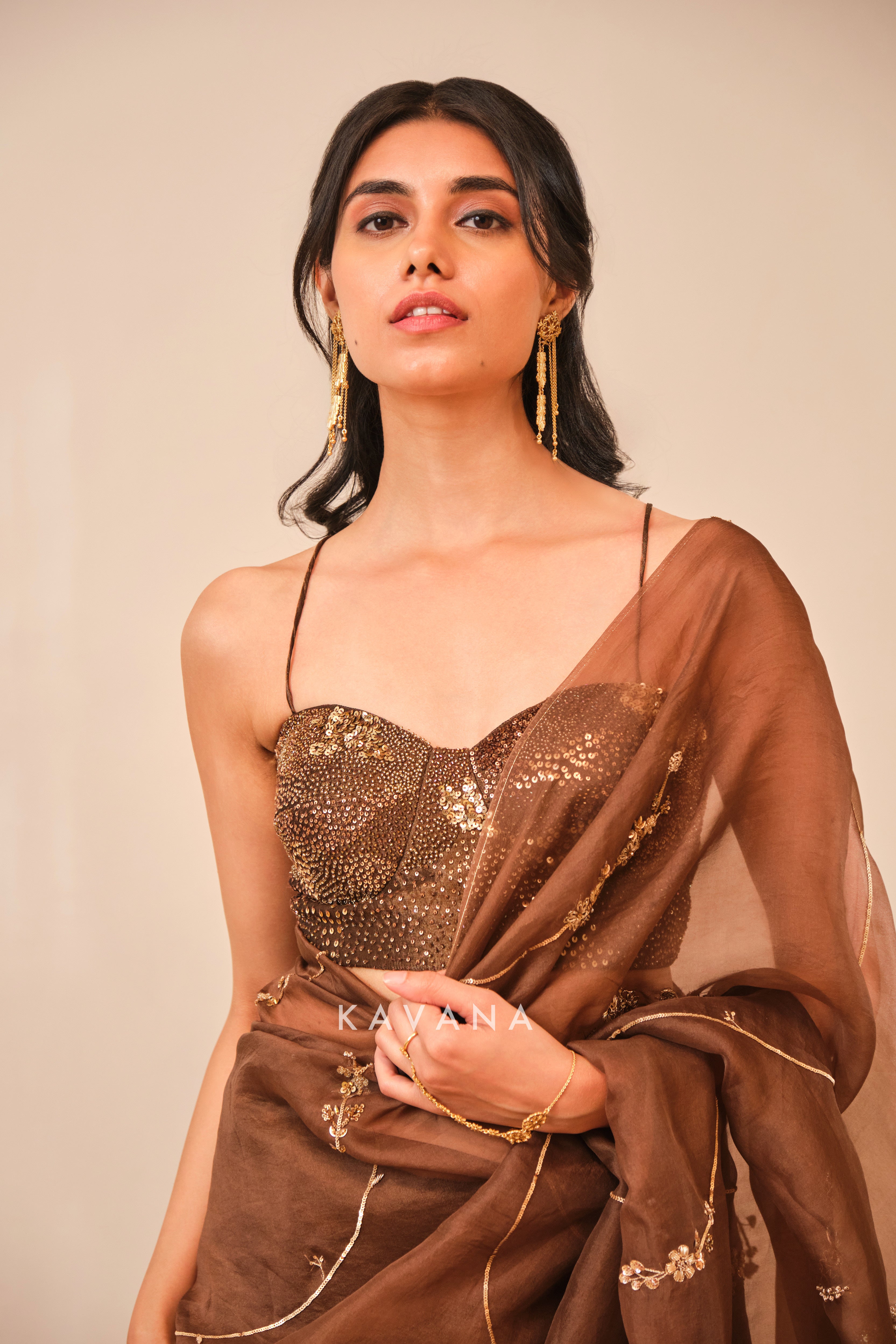 Chikoo sari