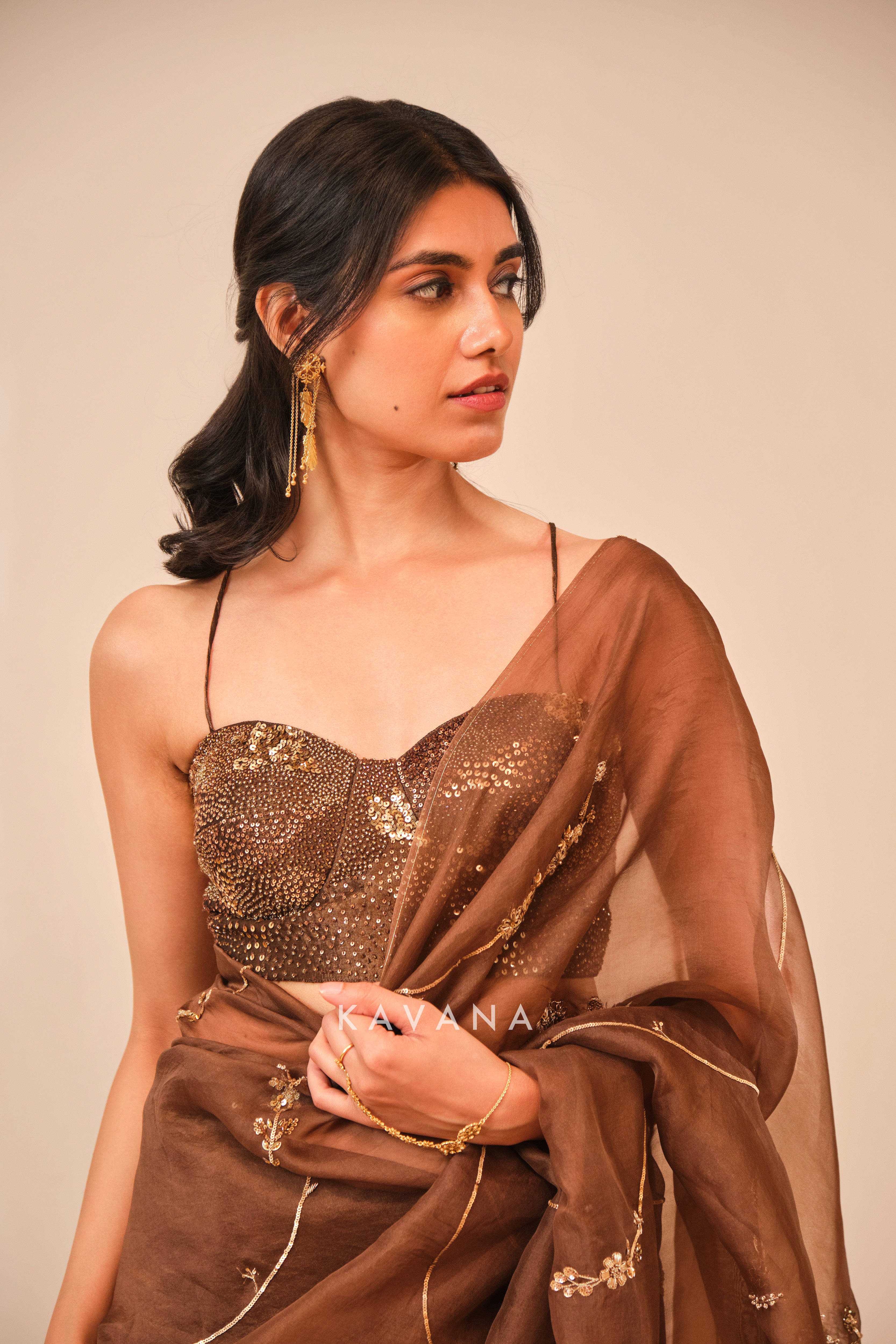 Chikoo sari