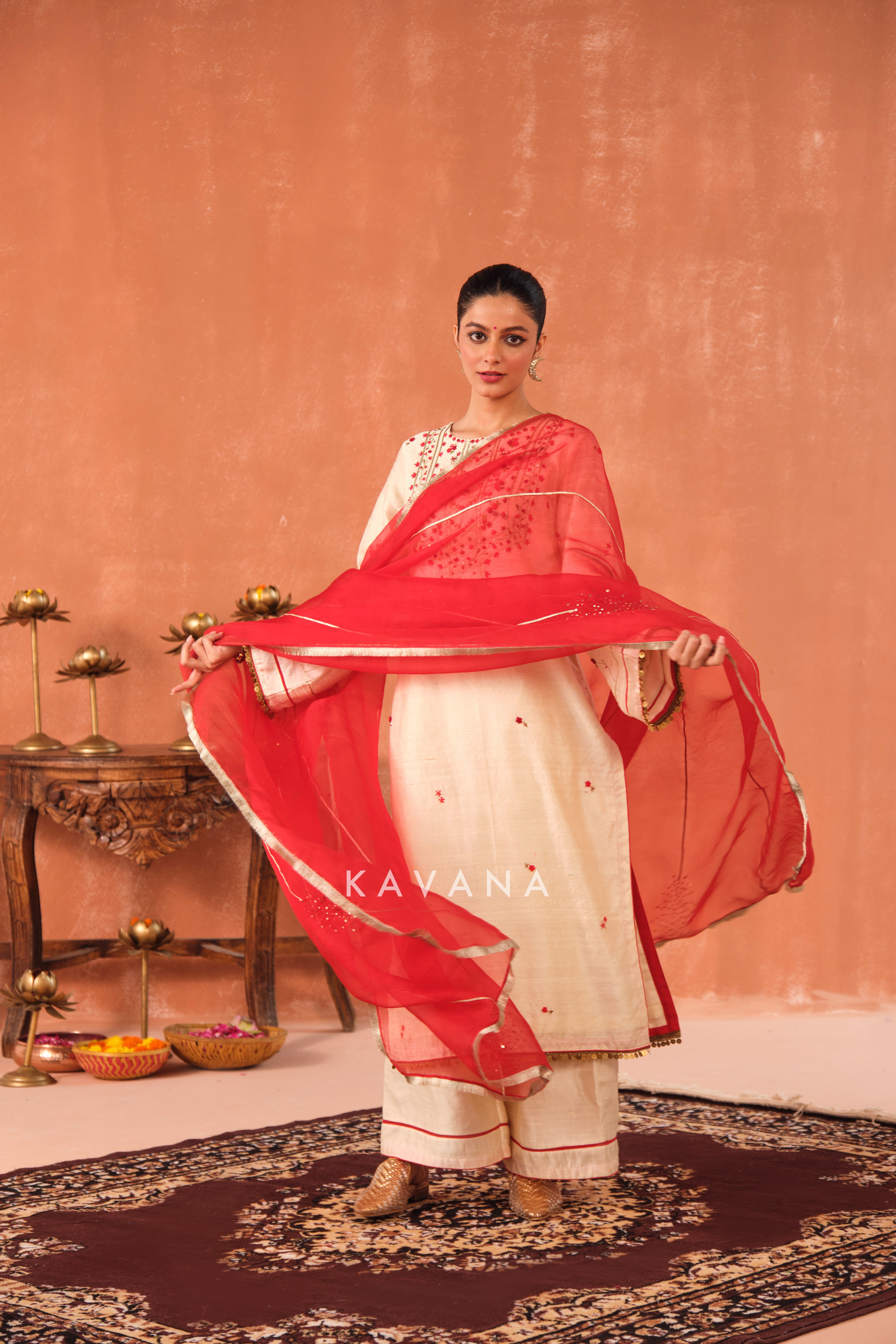 Ritu Raw Silk Kurta Set