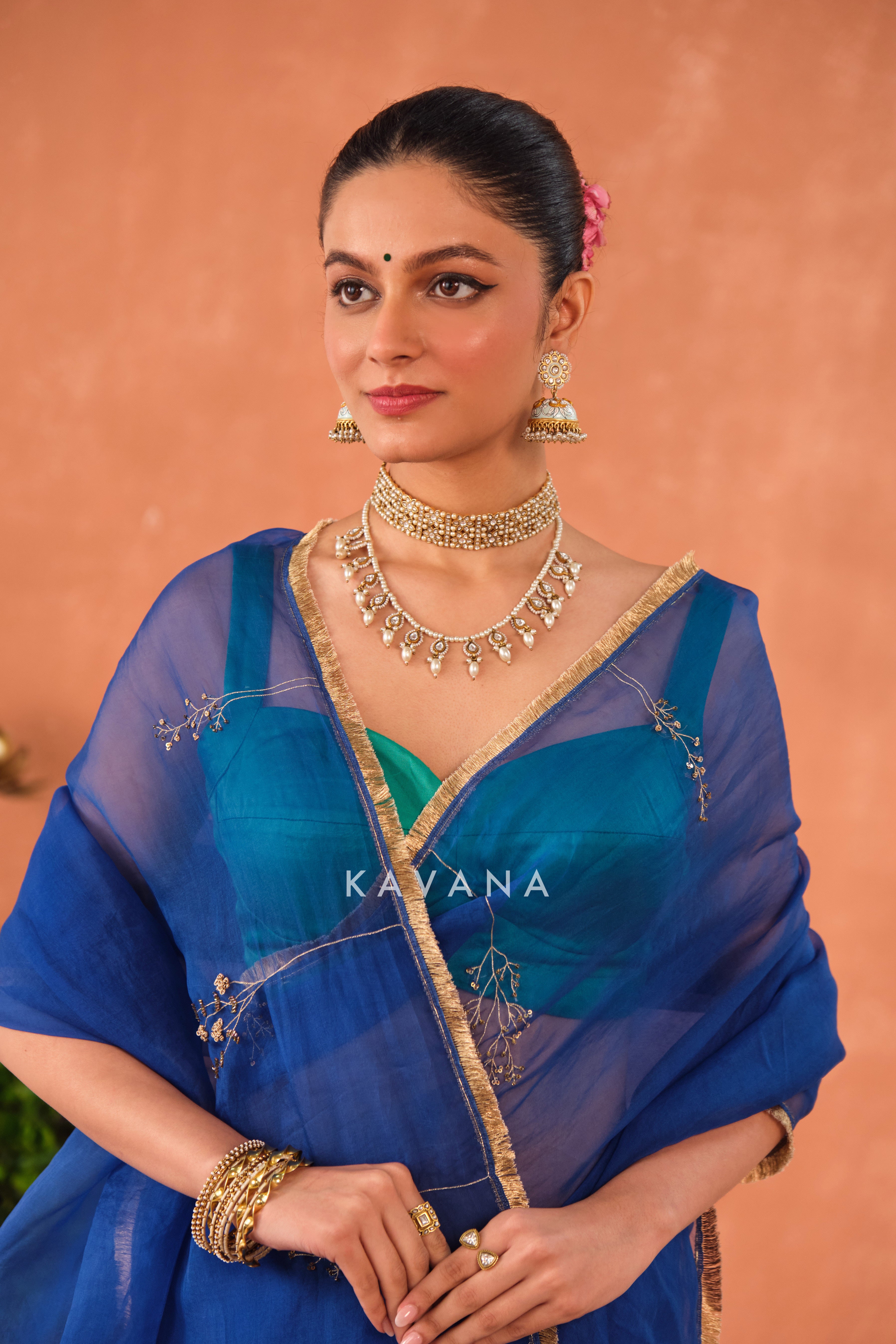 Neelika Organza Sari