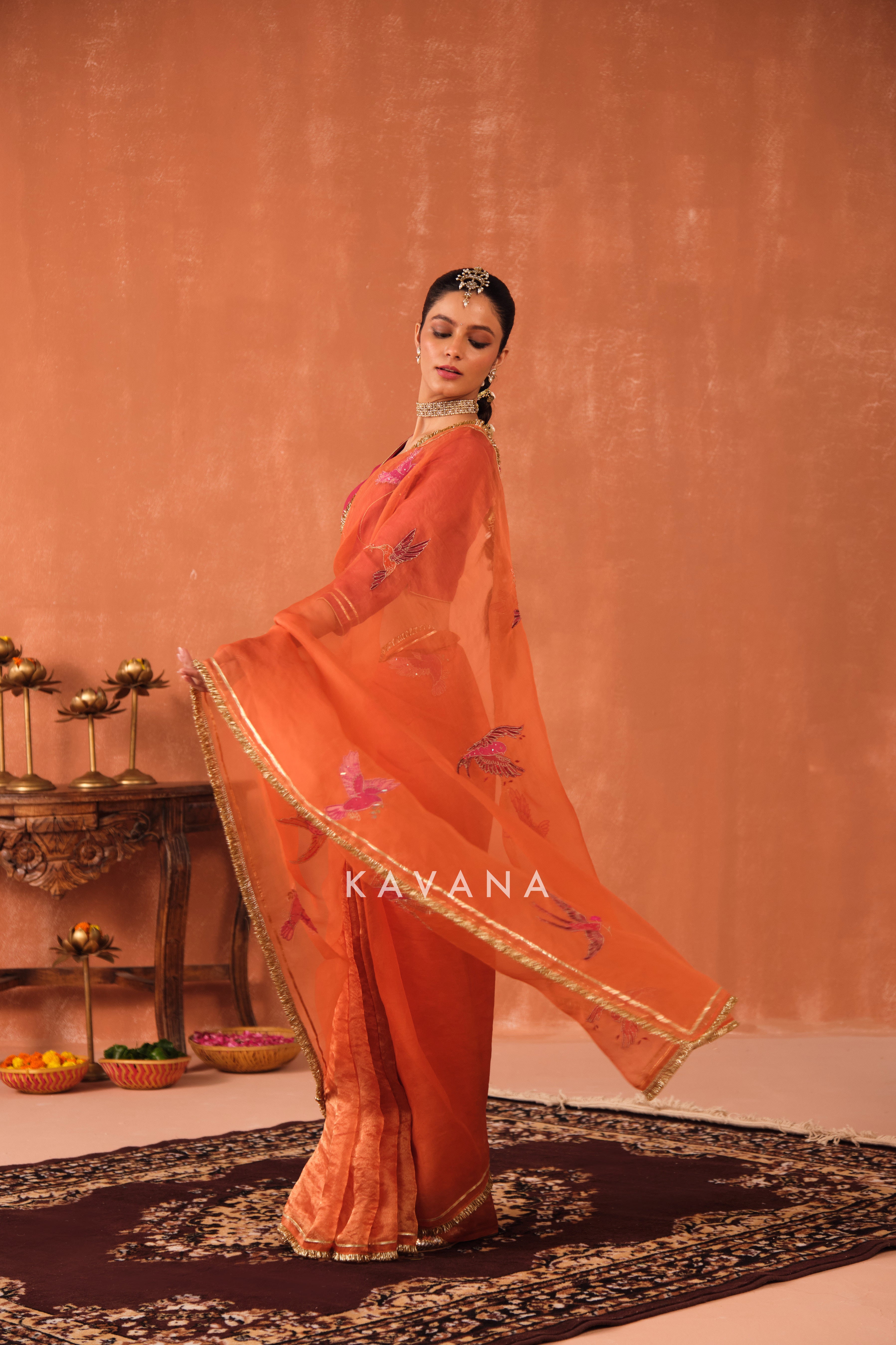 Ritu Organza Sari
