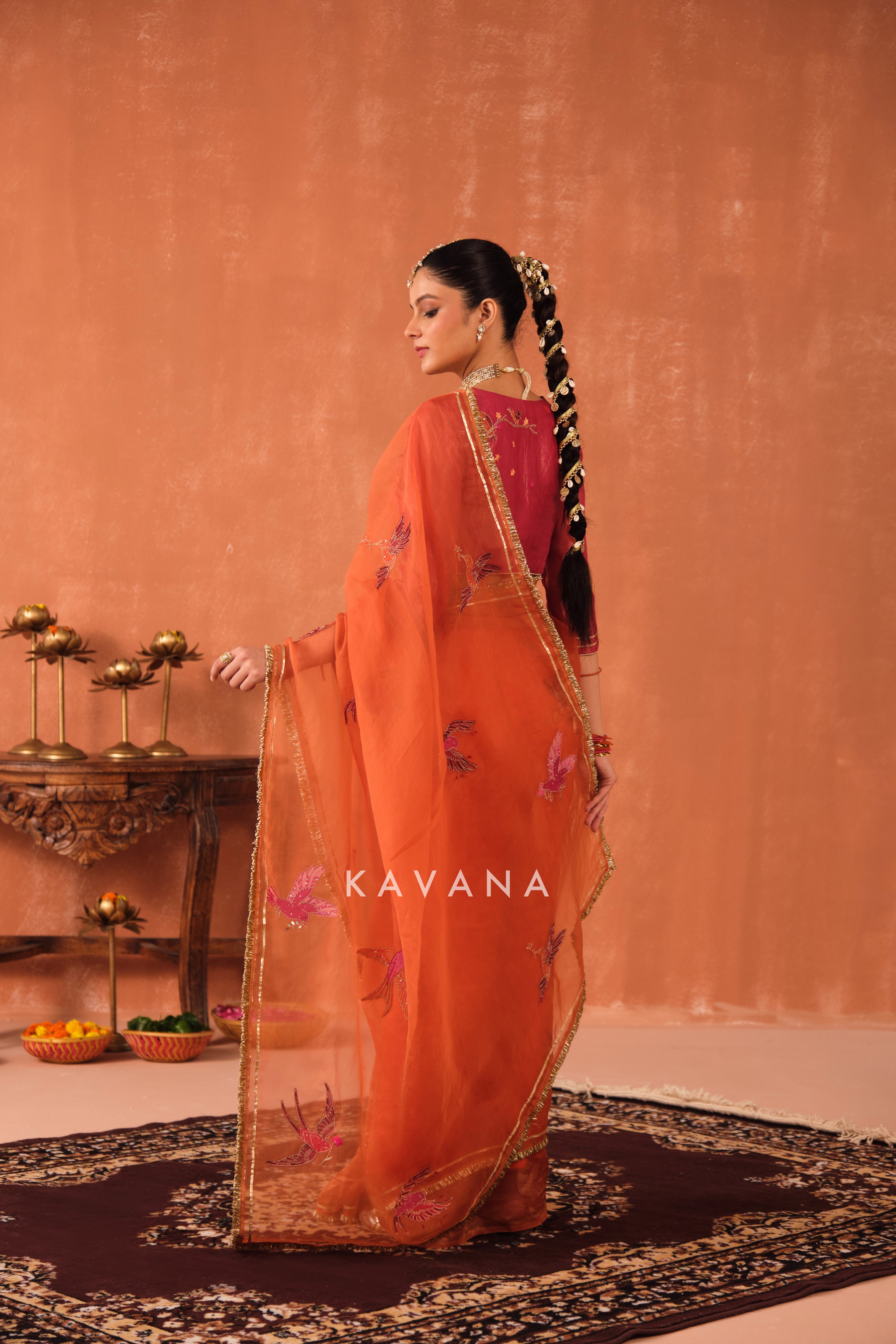 Ritu Organza Sari