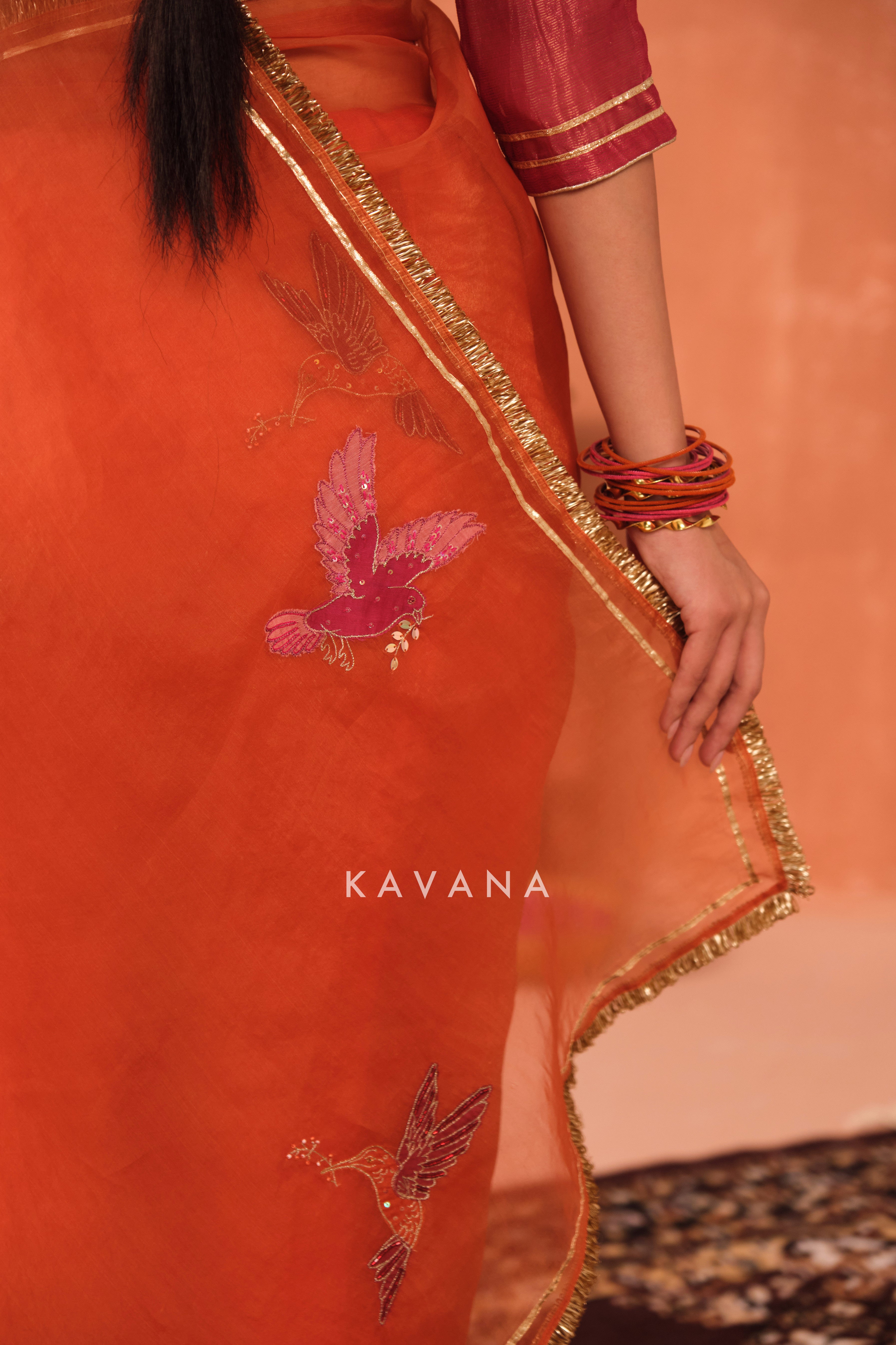 Ritu Organza Sari