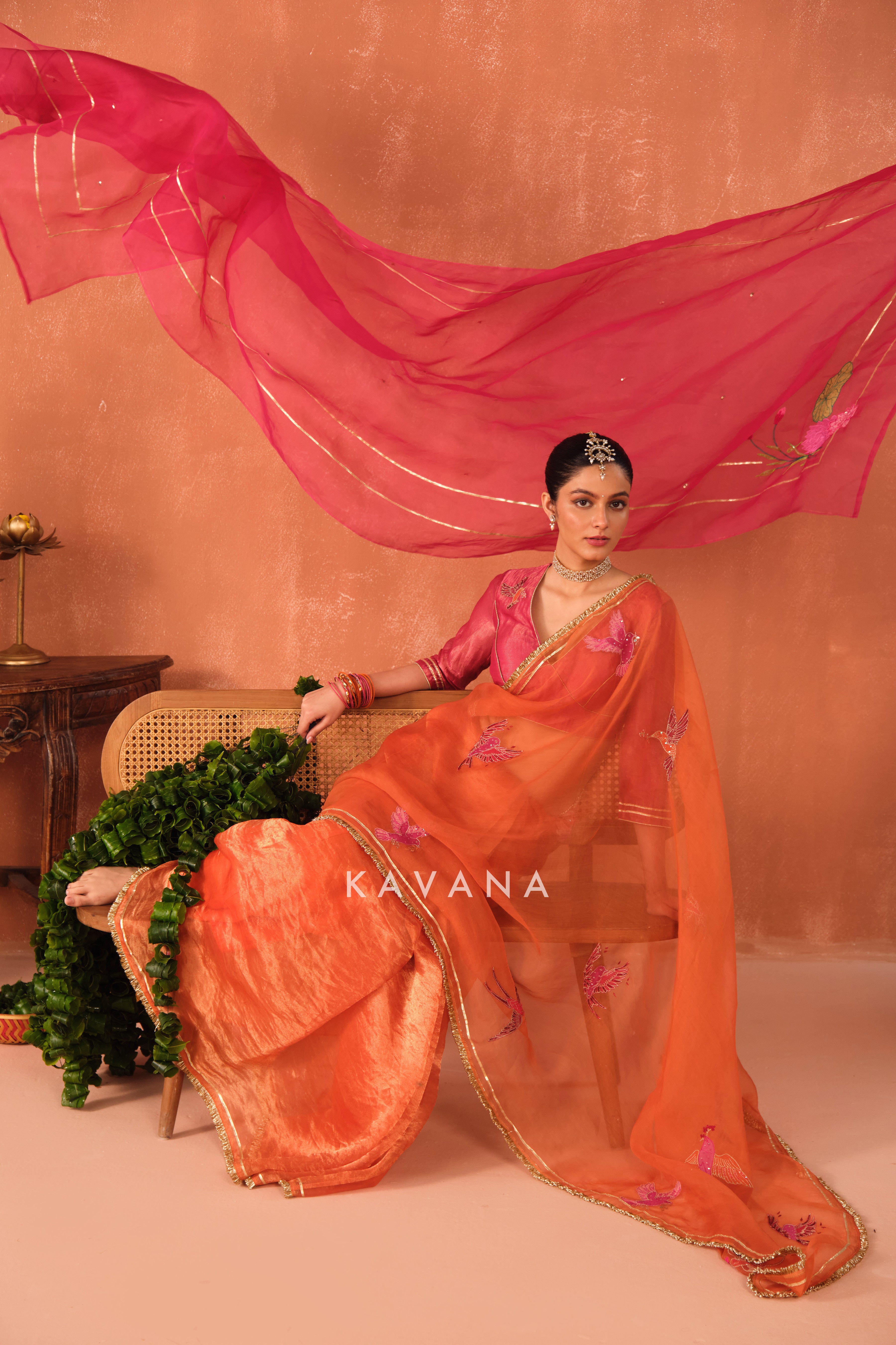 Ritu Organza Sari
