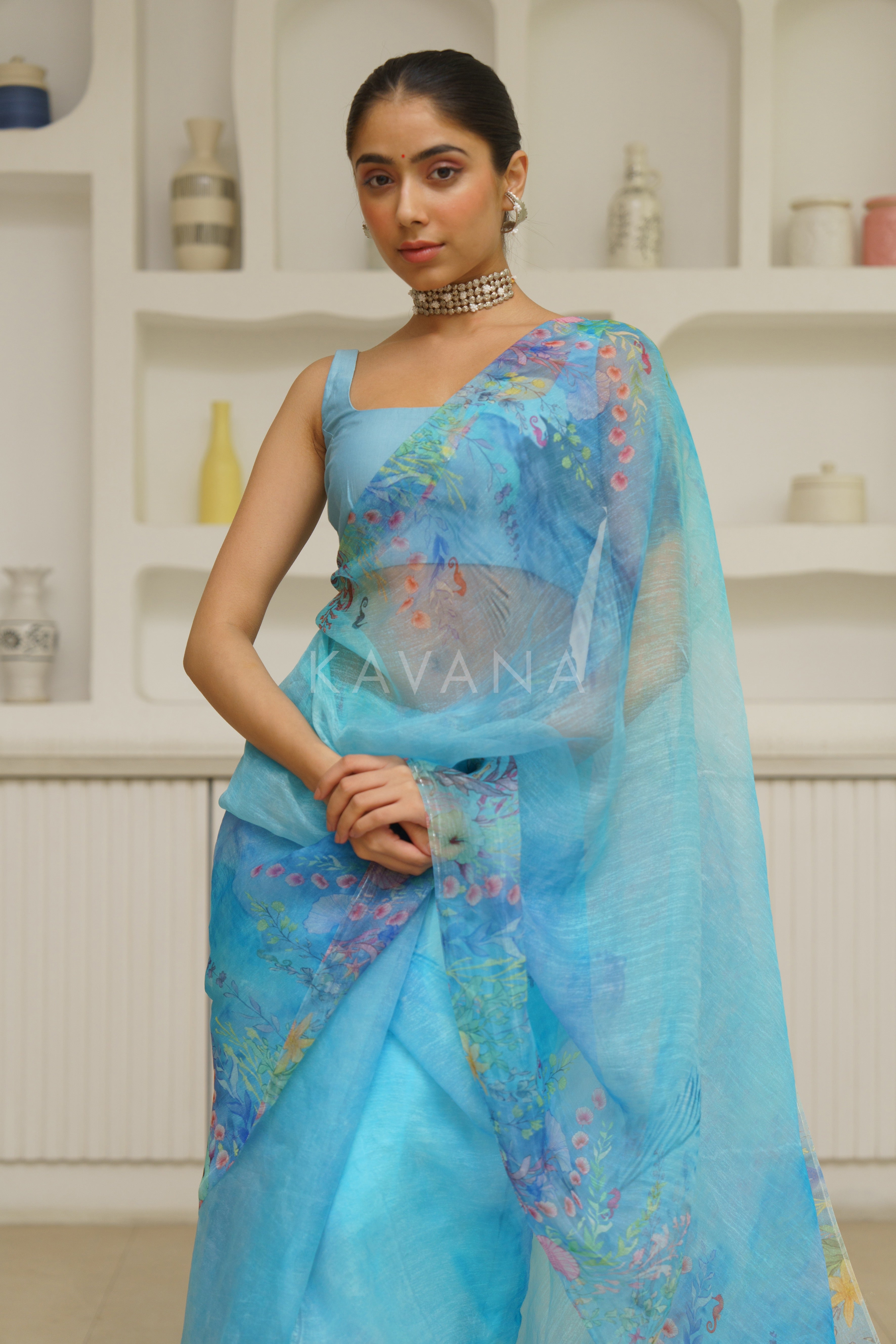 Seep Organza Sari