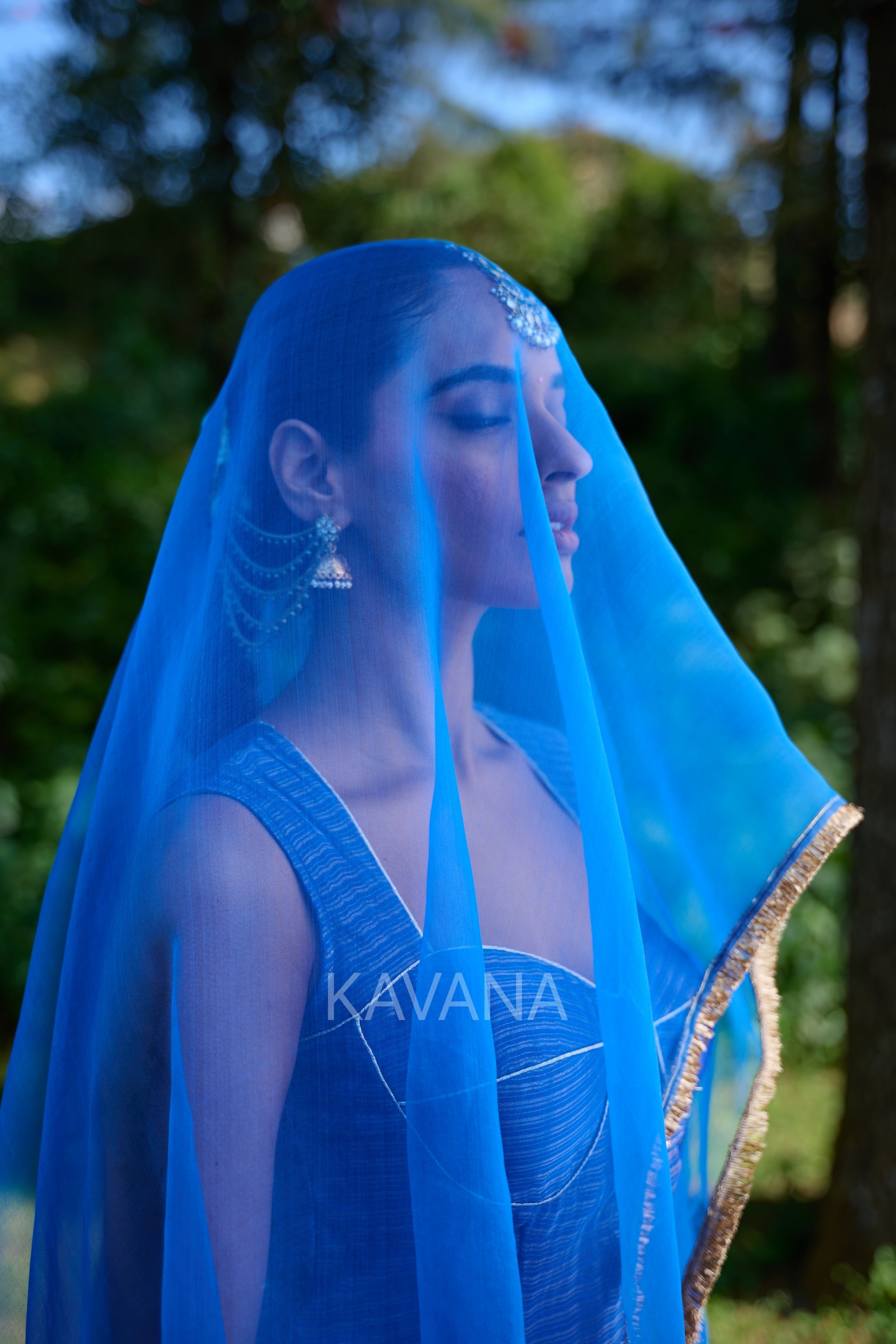 Chirmi Silk Organza Dupatta