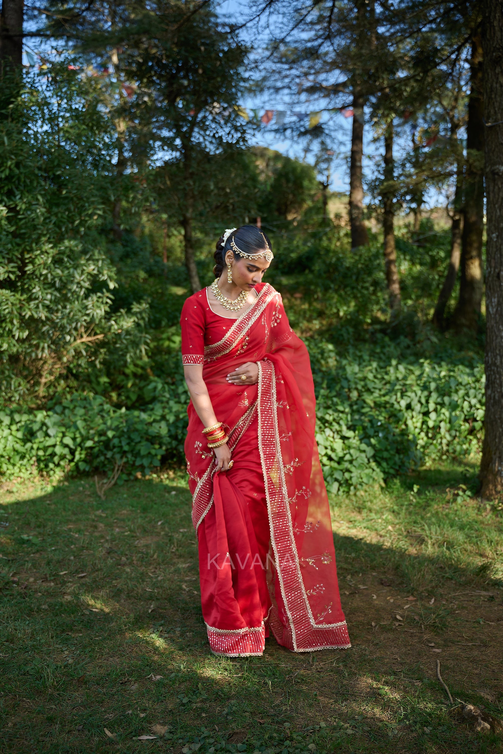 Jhirni Silk Organza Sari