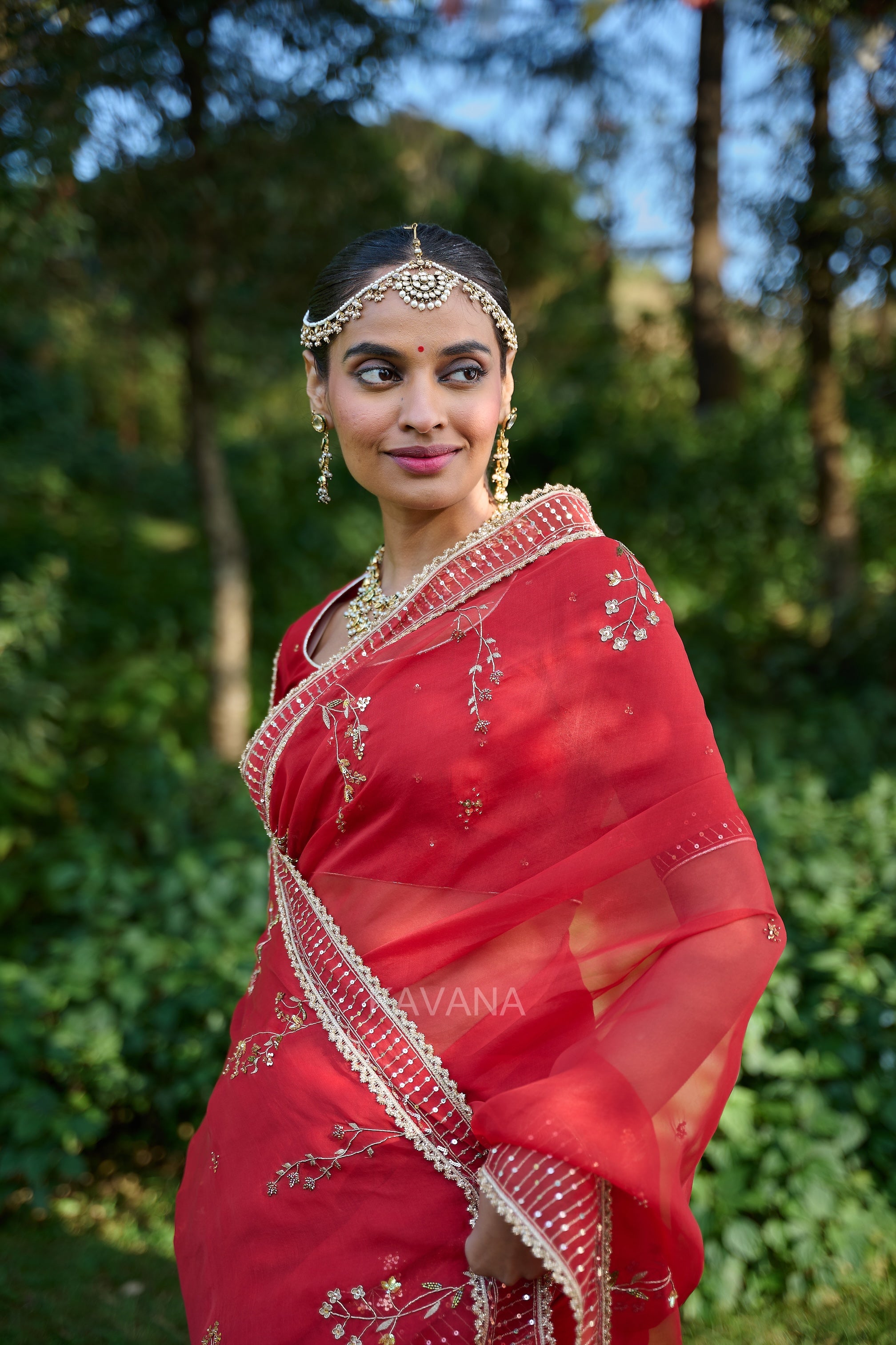 Jhirni Silk Organza Sari