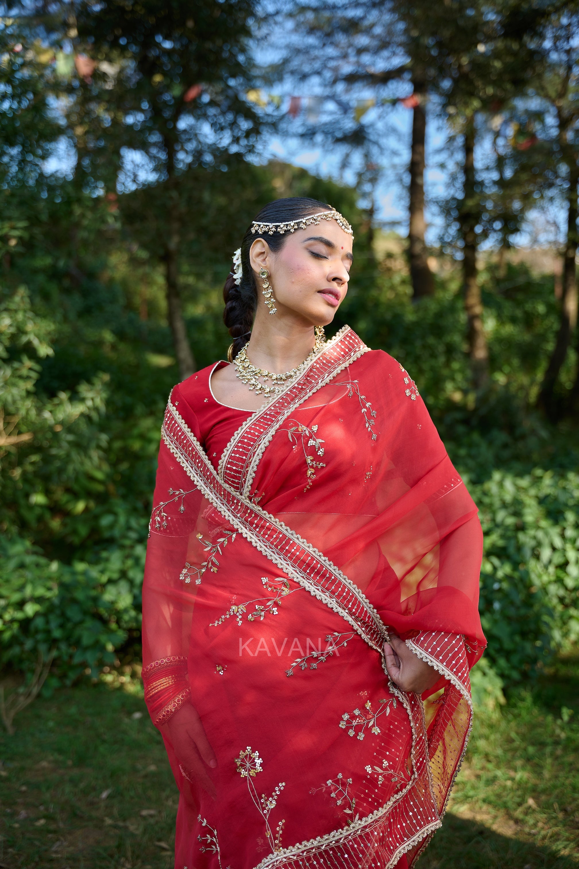 Jhirni Silk Organza Sari