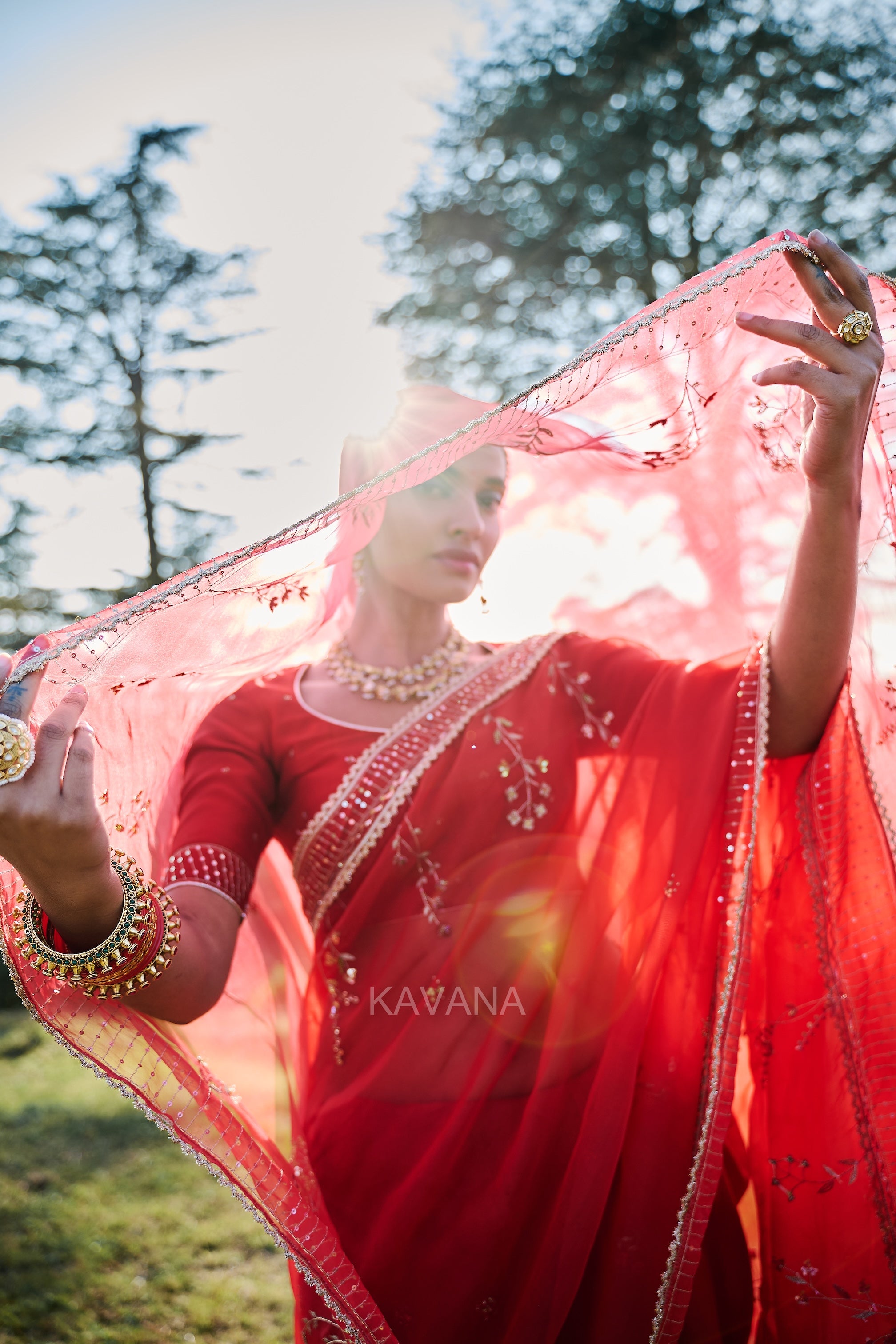 Jhirni Silk Organza Sari