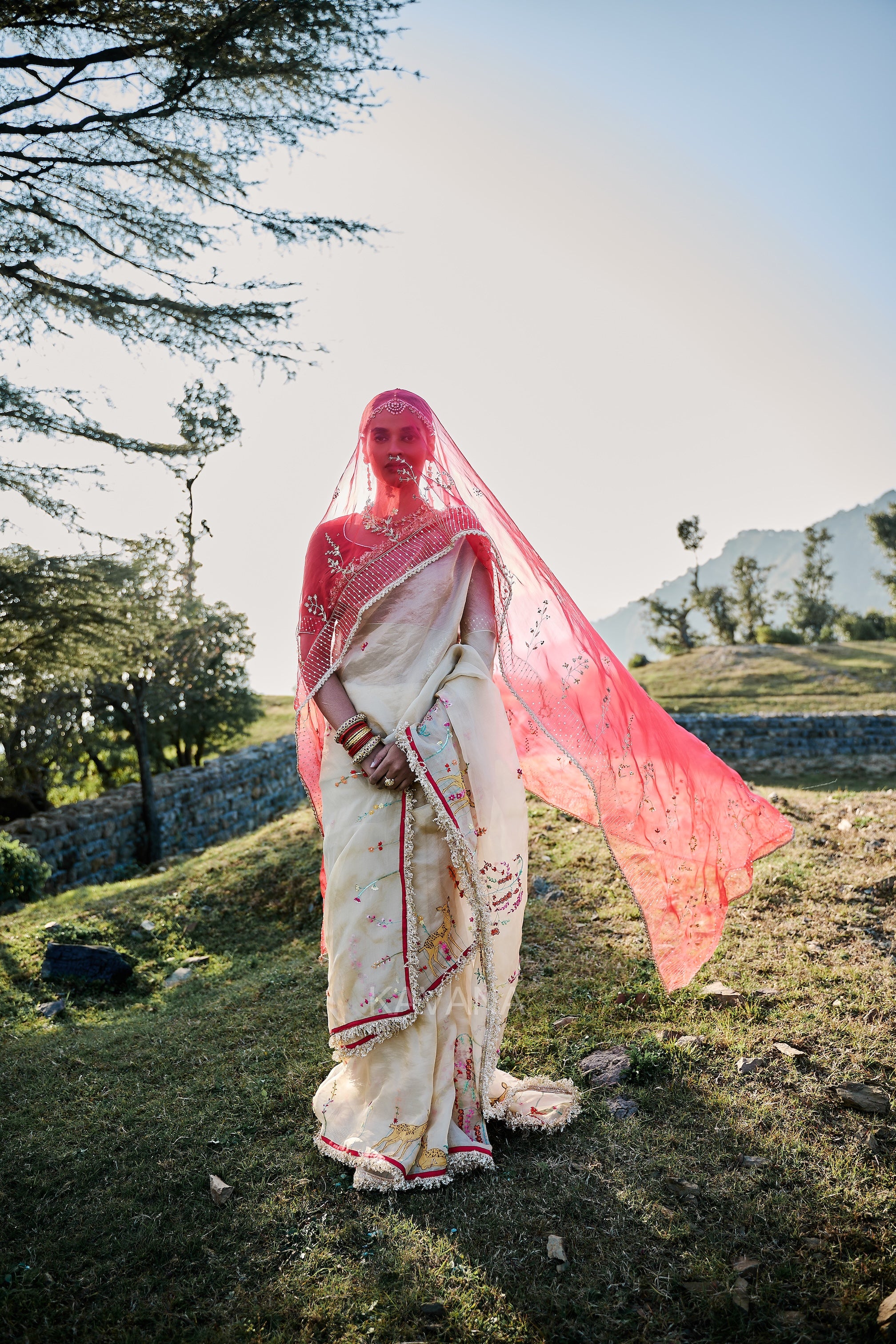 Isha Silk Tissue Sari