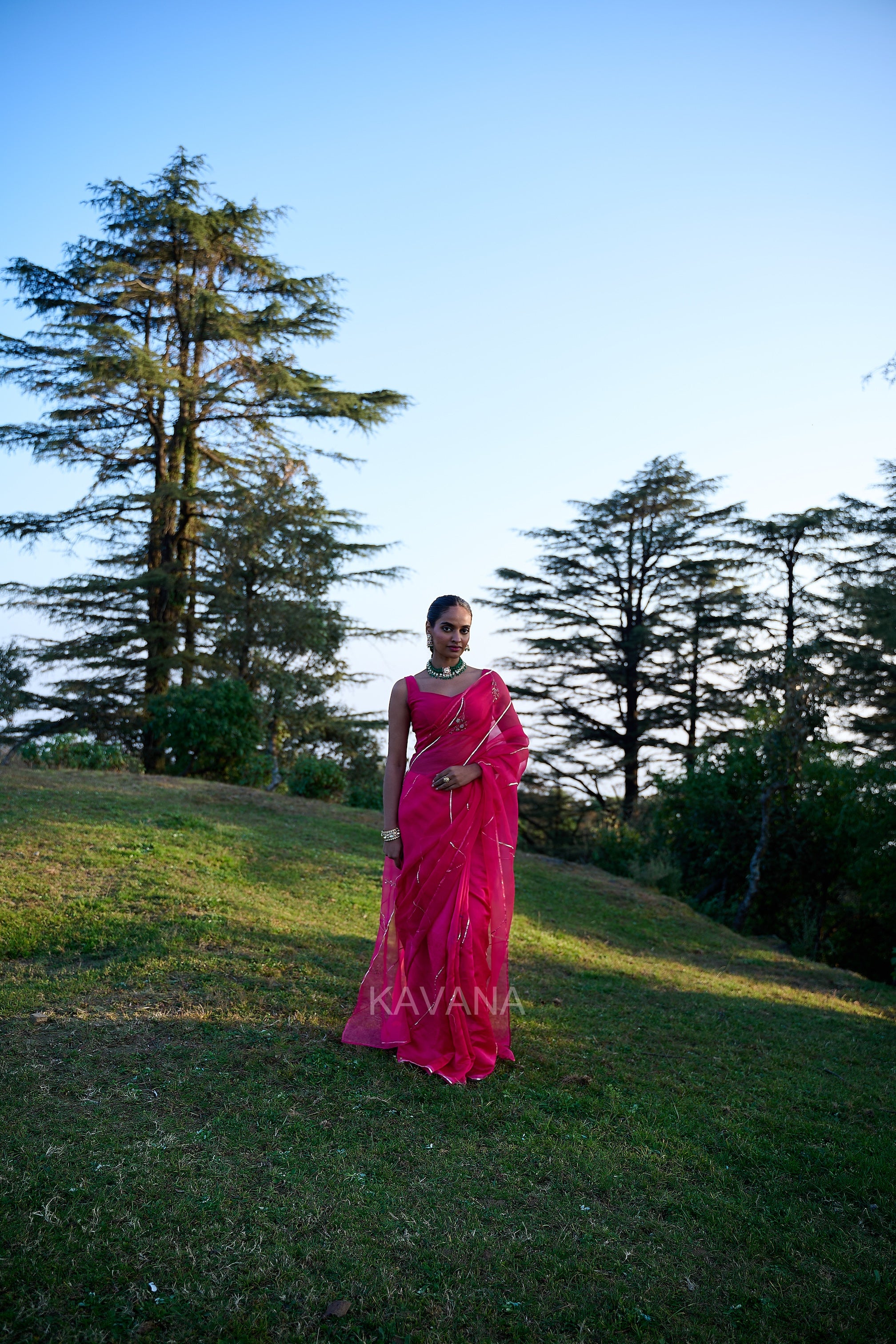 Purva Silk Organza Sari