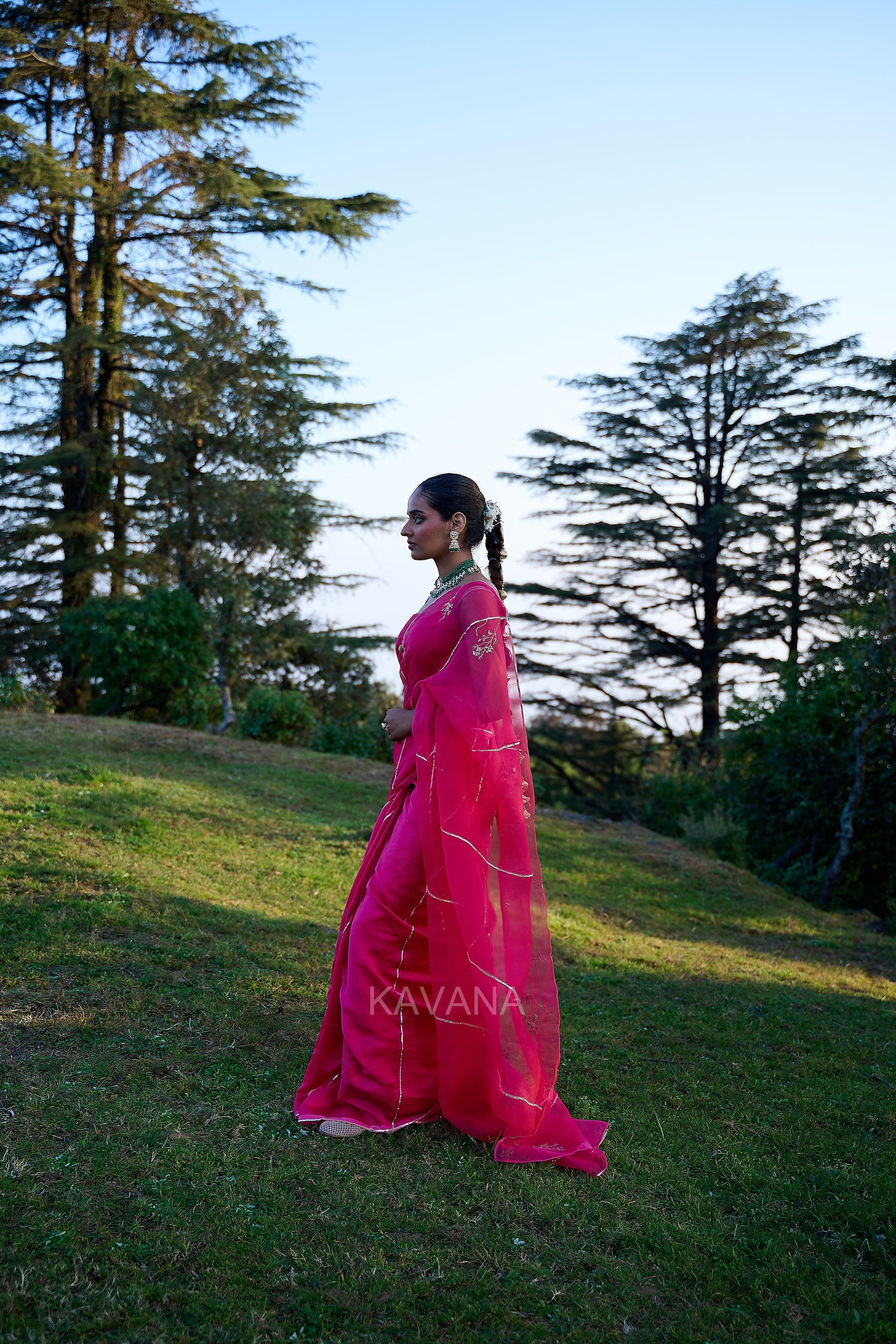 Purva Silk Organza Sari