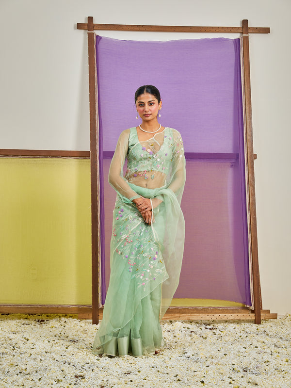Shaleen Silk Organza Sari