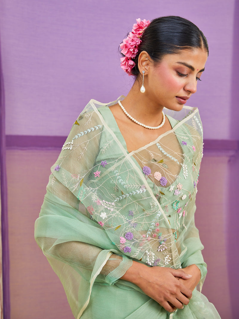 Shaleen Silk Organza Sari