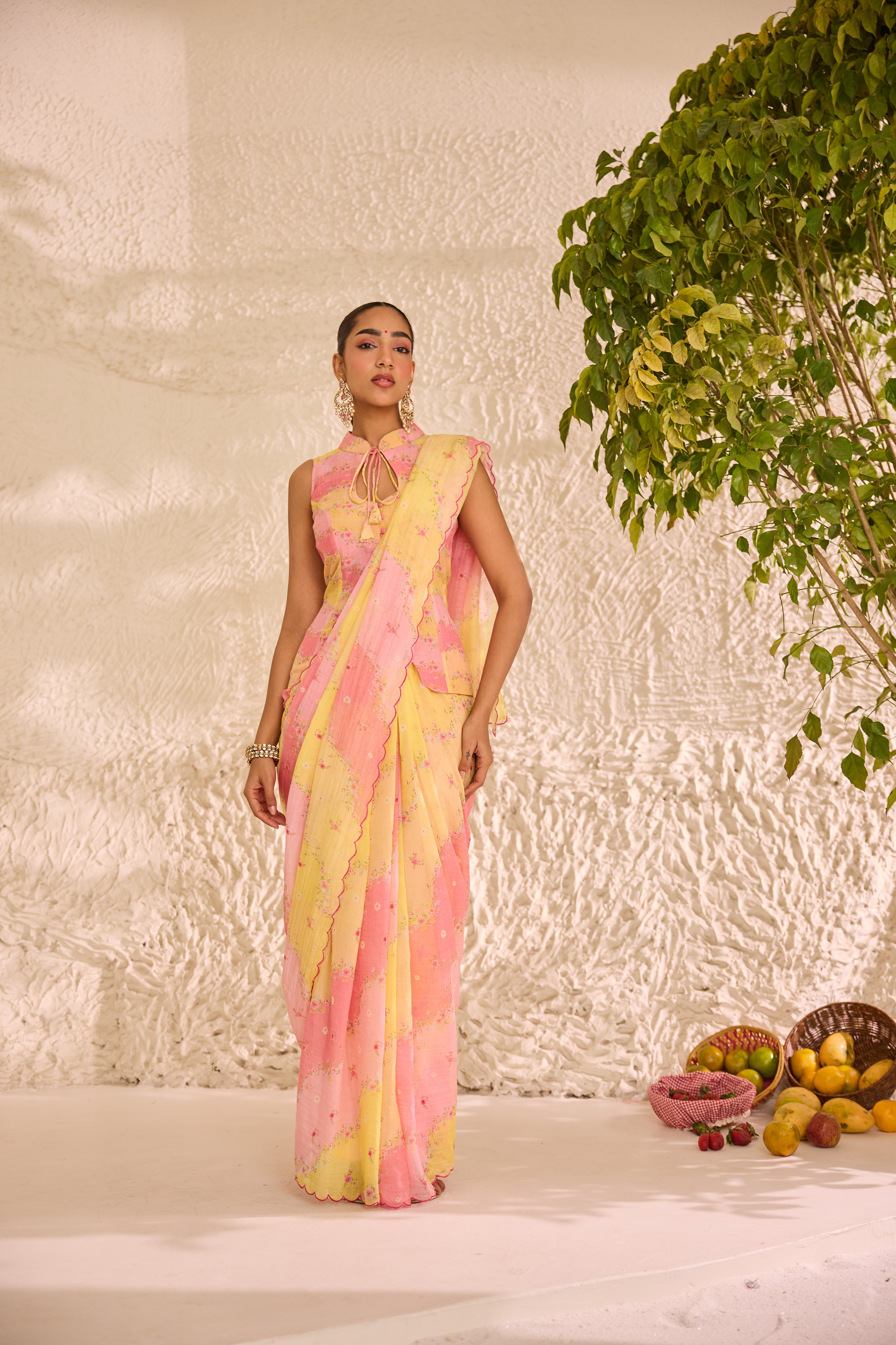 Ras Bhari Chanderi Sari