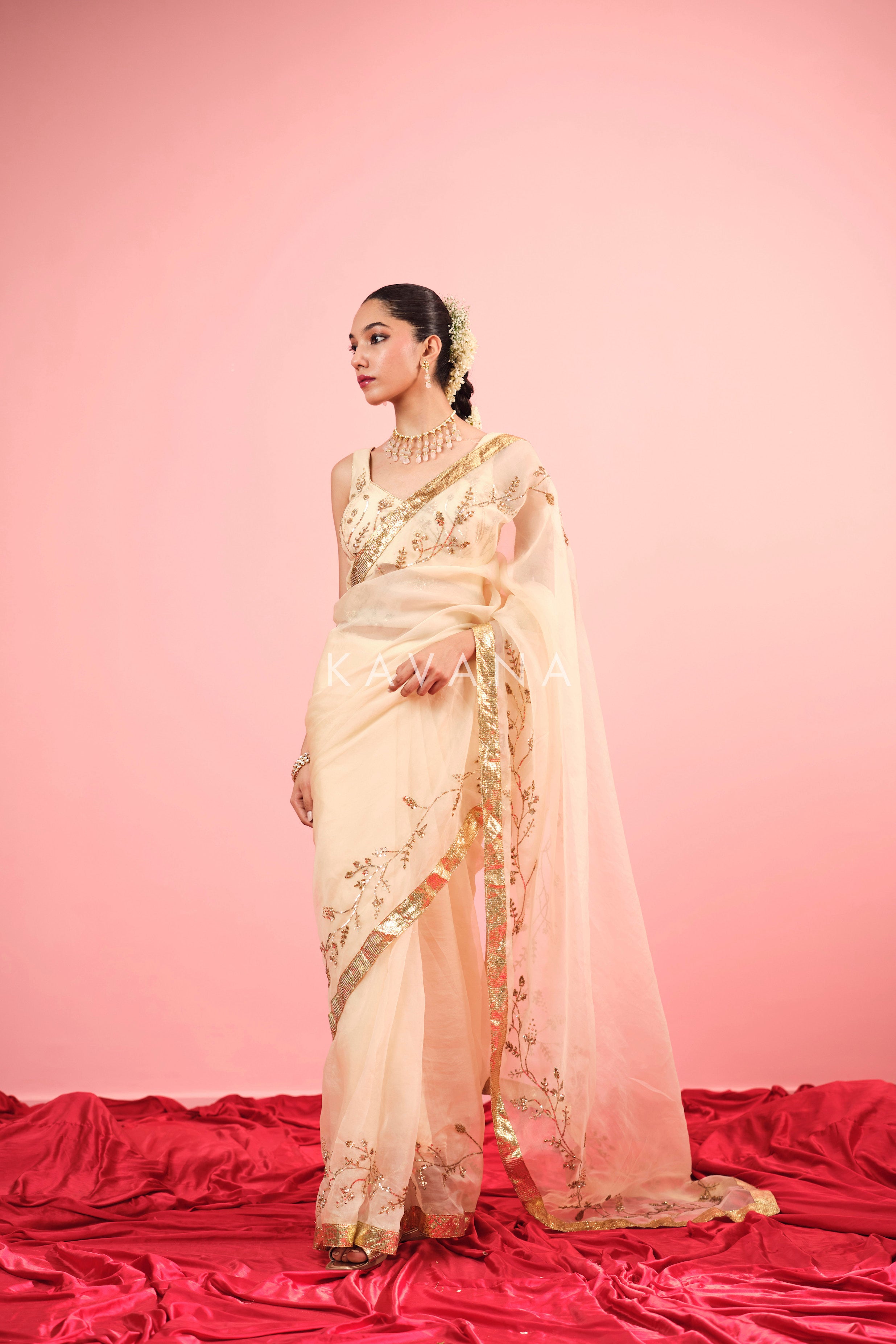 Ruhani Silk Organza Sari