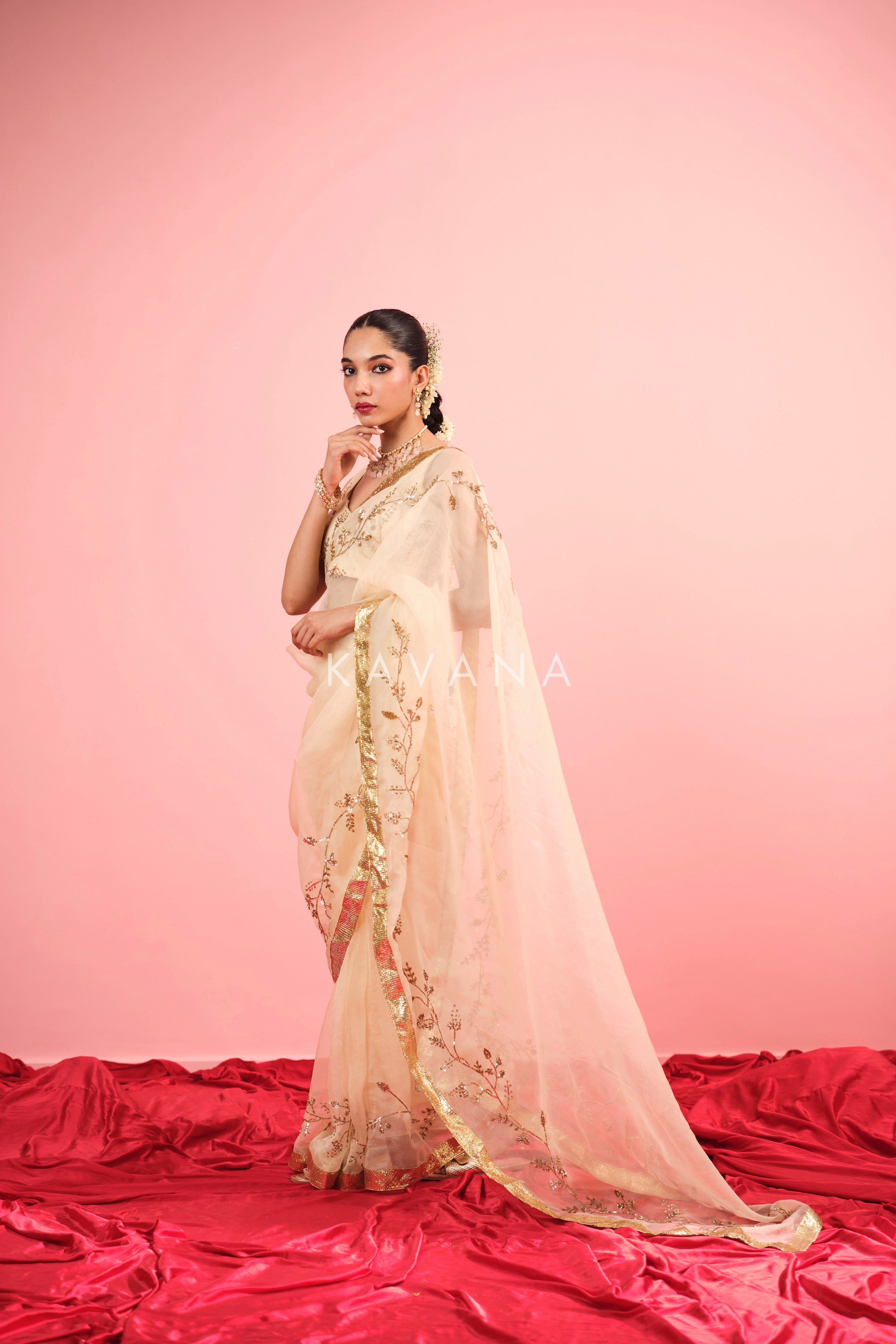 Ruhani Silk Organza Sari