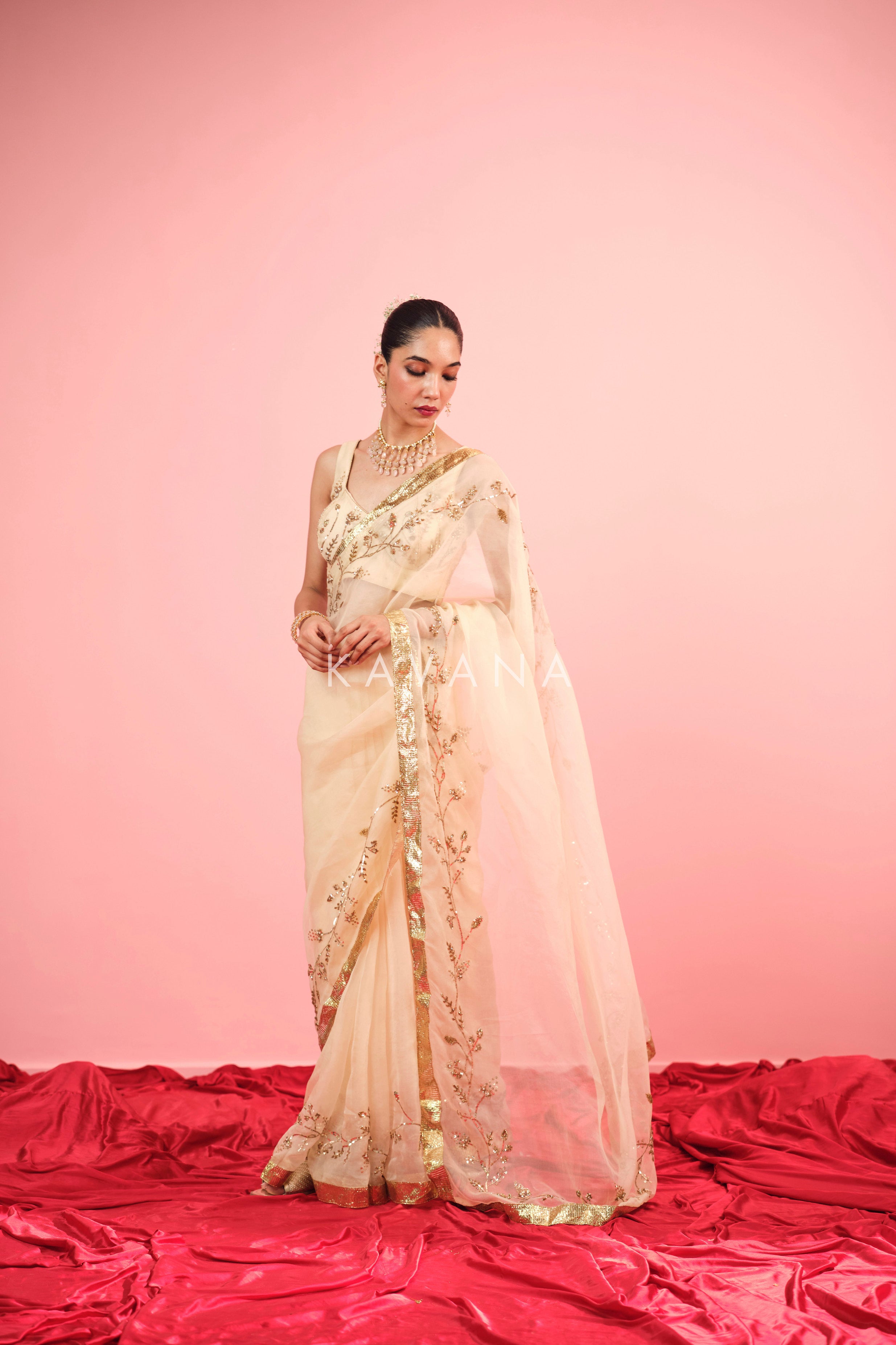 Ruhani Silk Organza Sari