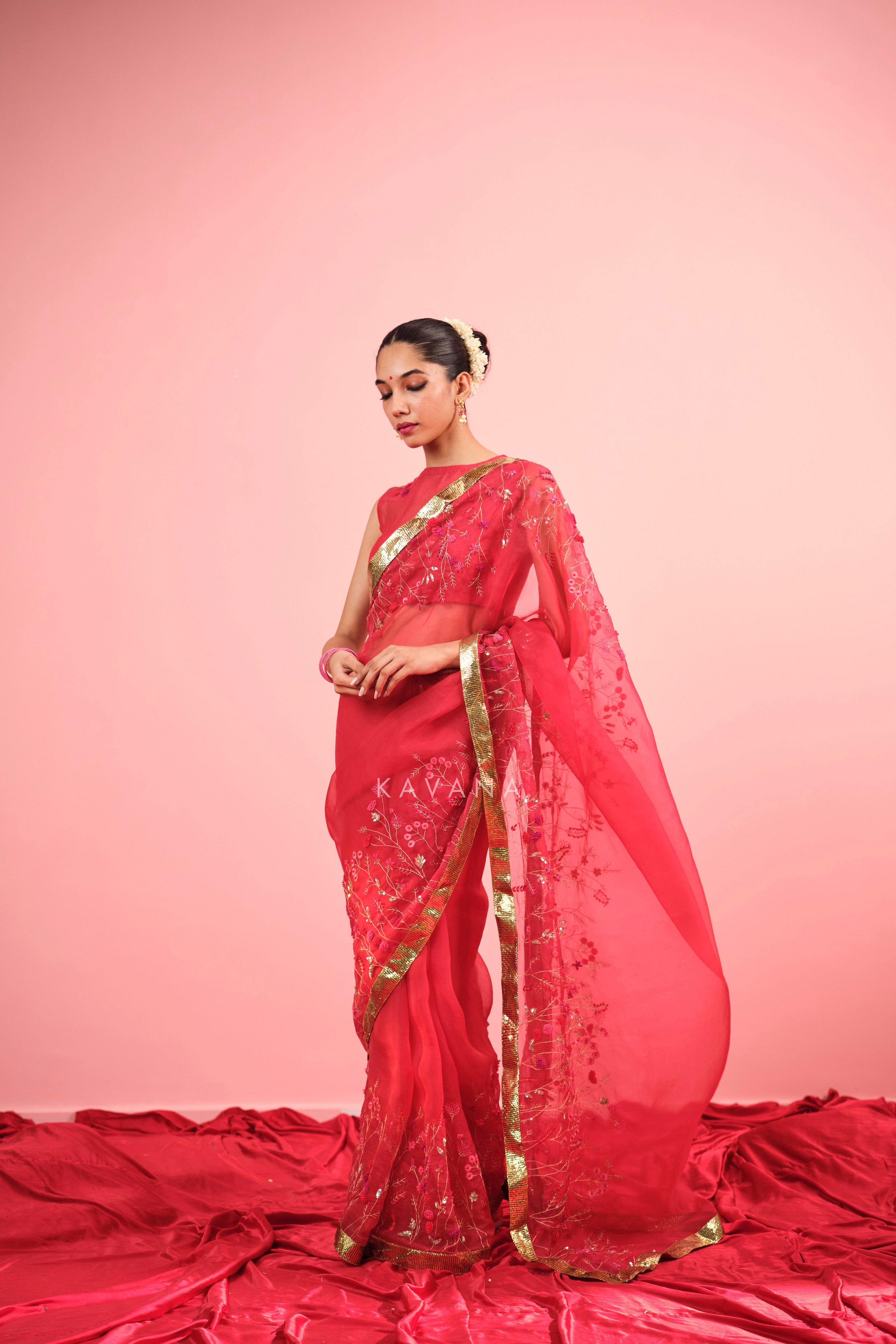 Aarzoo Silk Organza Sari