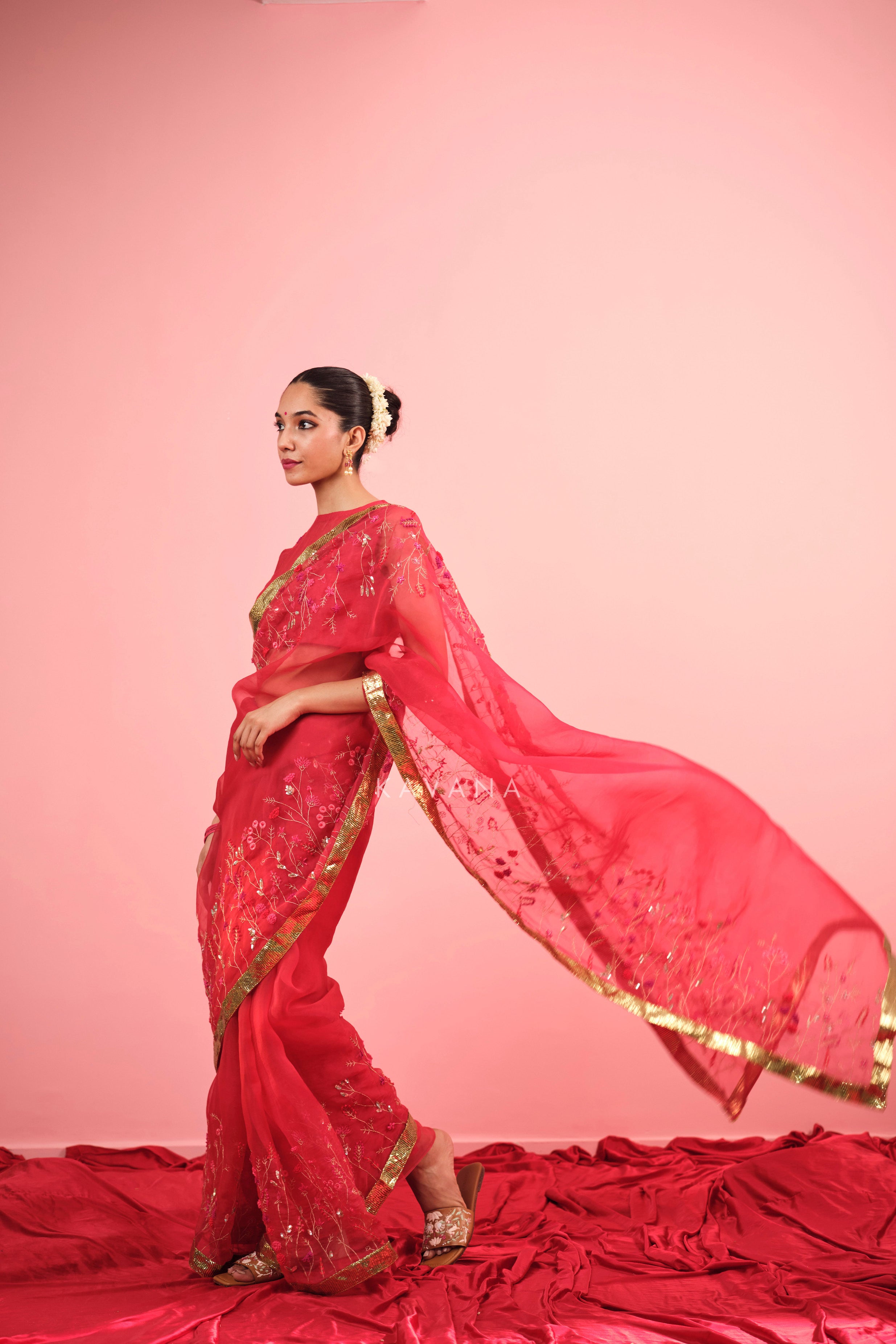 Aarzoo Silk Organza Sari